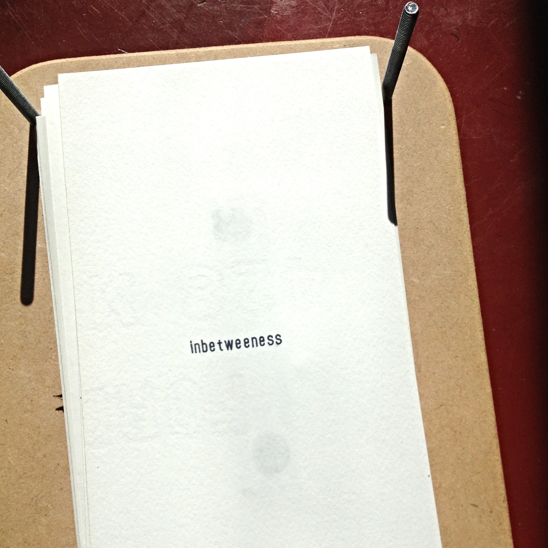 IMG_4433.JPG