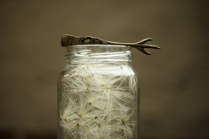 Thistle and tongs Common Salt_Credit Paul Samuel White.jpg