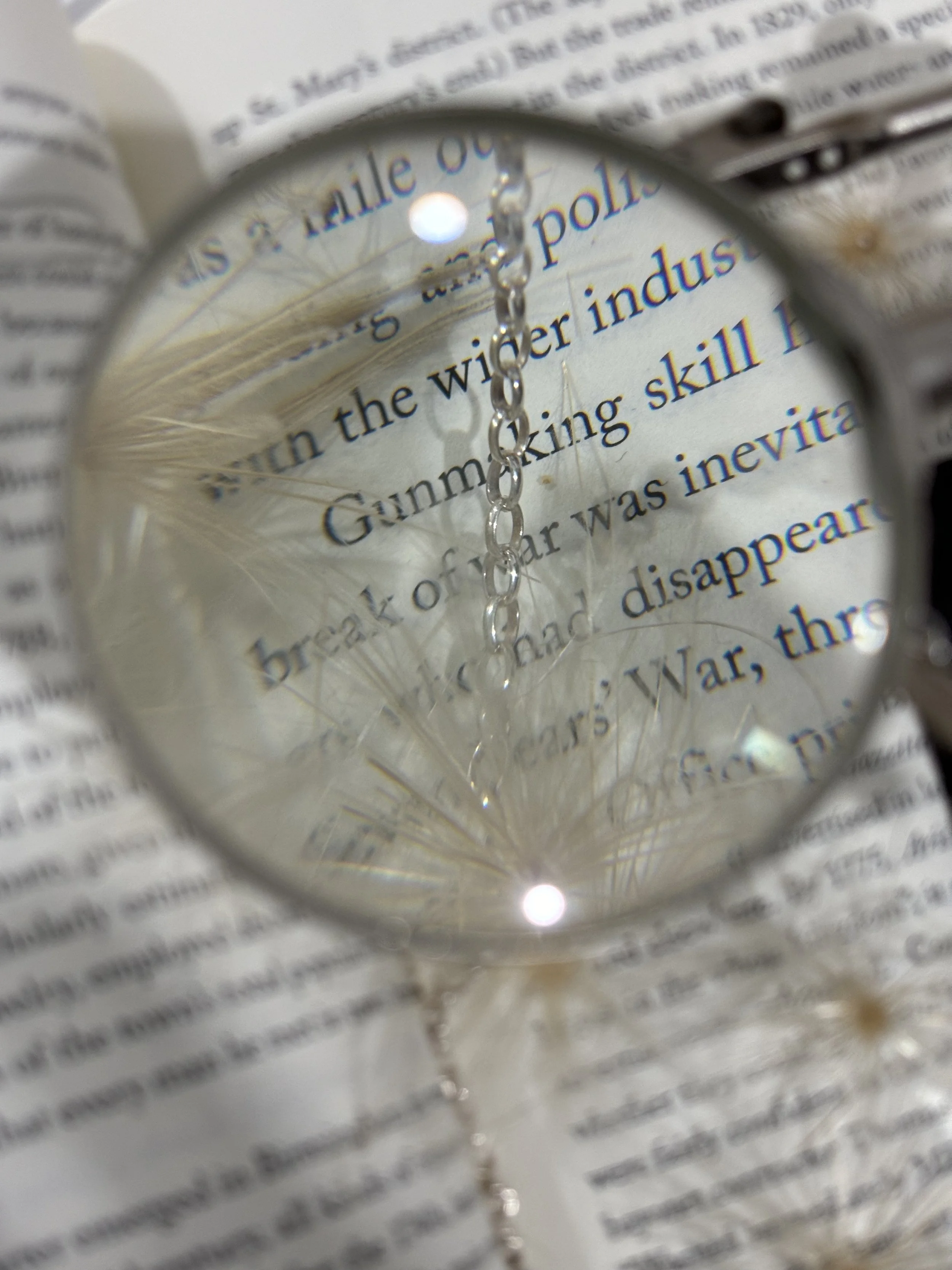 Photo inspiration: Gallery Detail: Softly Tenderly