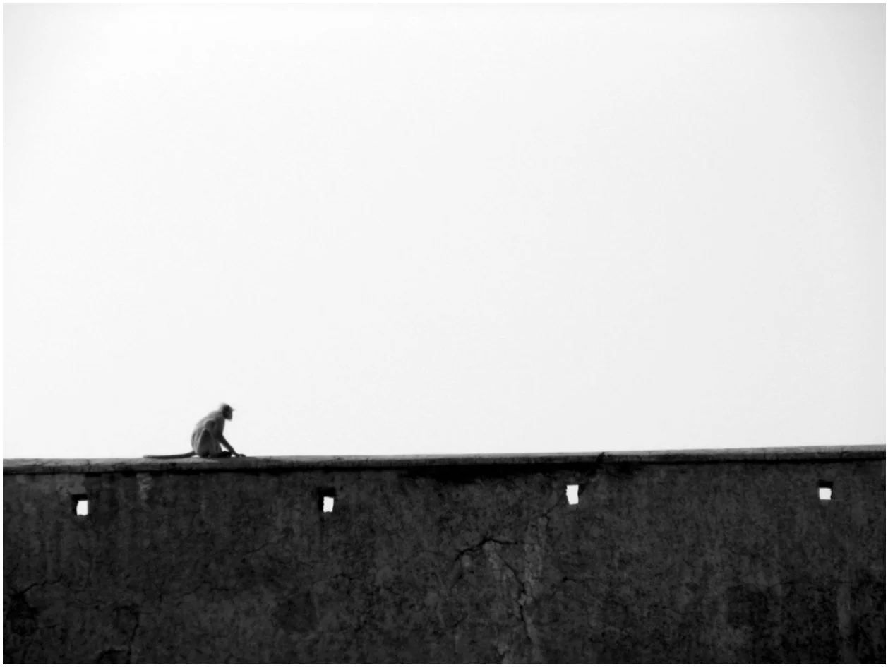 Untitled-18.jpg