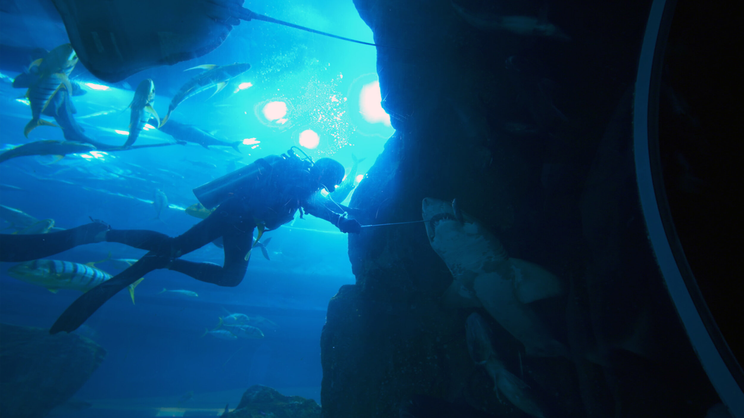 GBS_Dubai_Aquarium_1.jpg