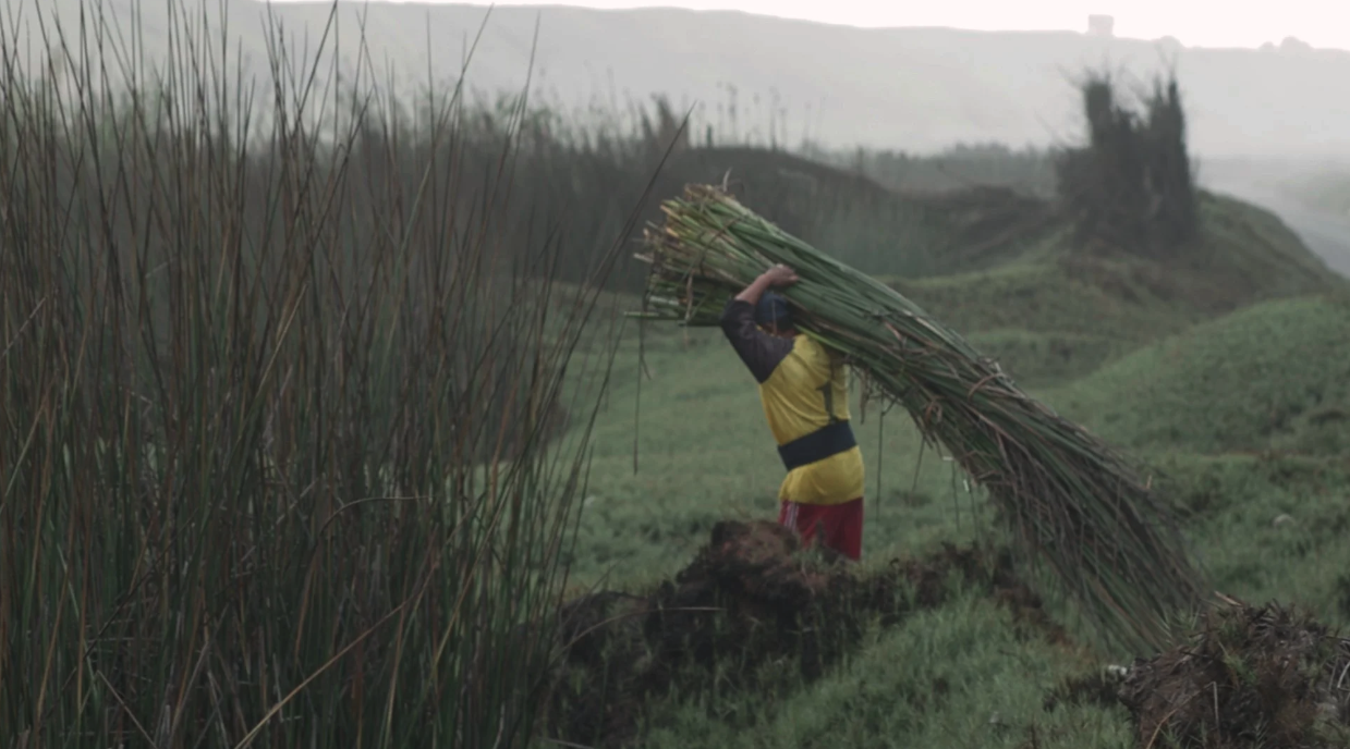 Screenshot 2026-04-02 at 11.55.04 AM.png