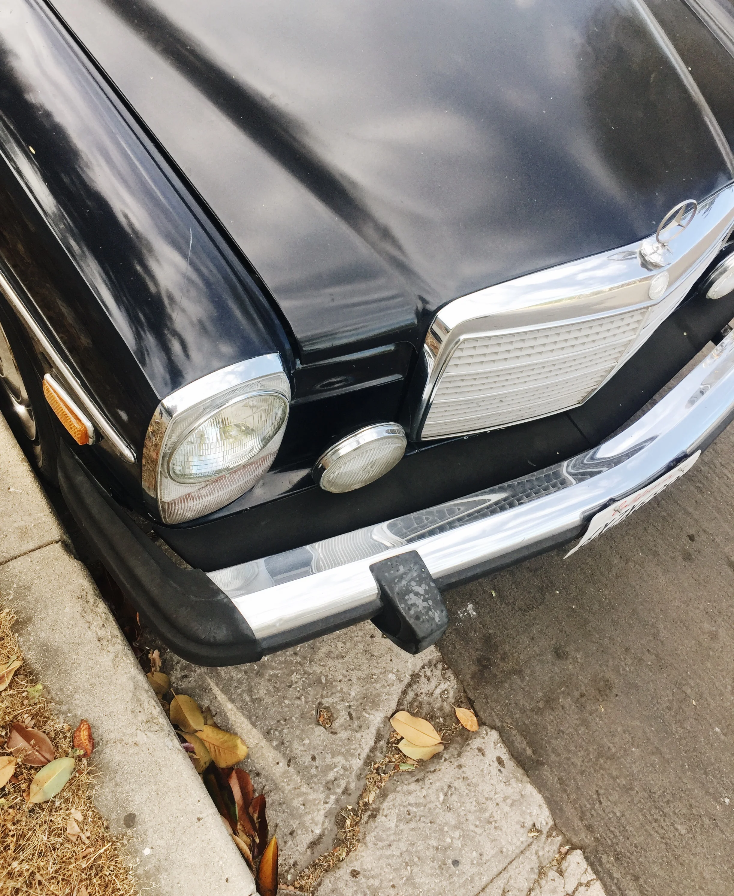 Mercedes detail - The Skulls