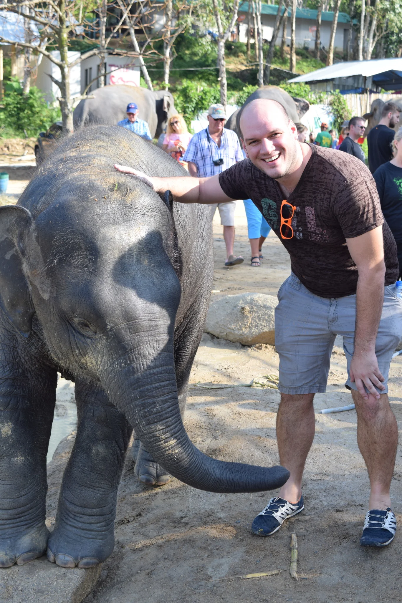 My Elephant Sanctuary Visit in Thailand
