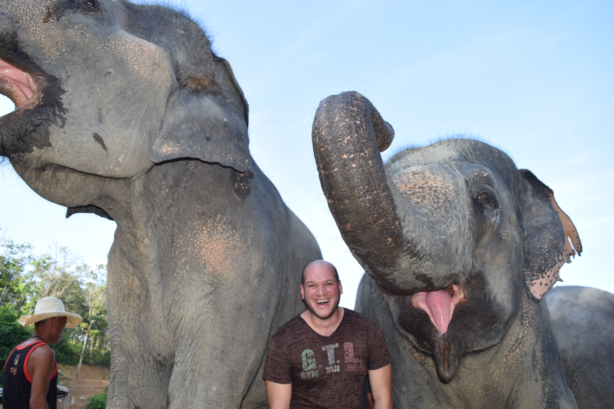 You really get to up close and personal with the elephants. 