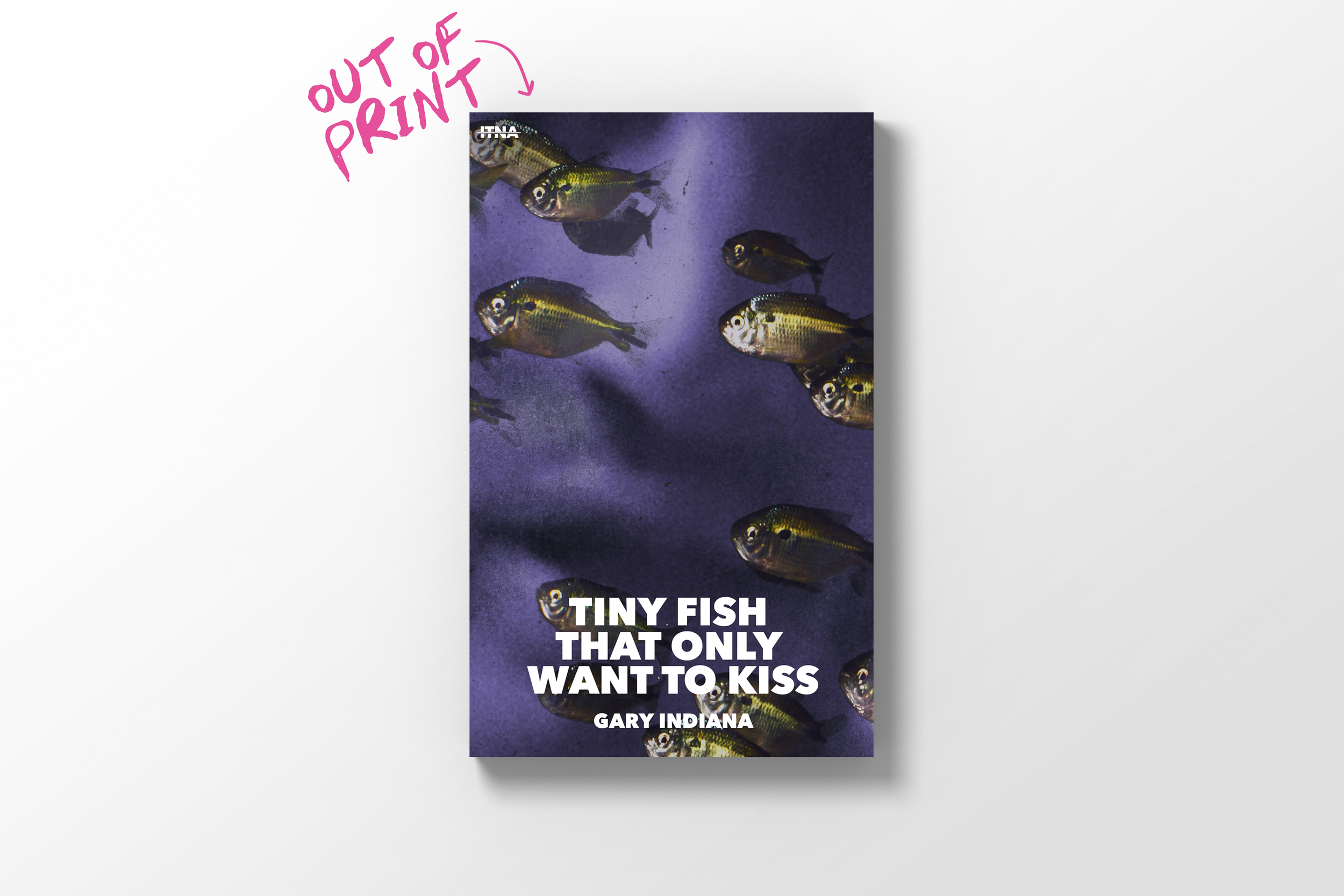 TINY FISH THAT ONLY WANT TO KISS | Gary Indiana
