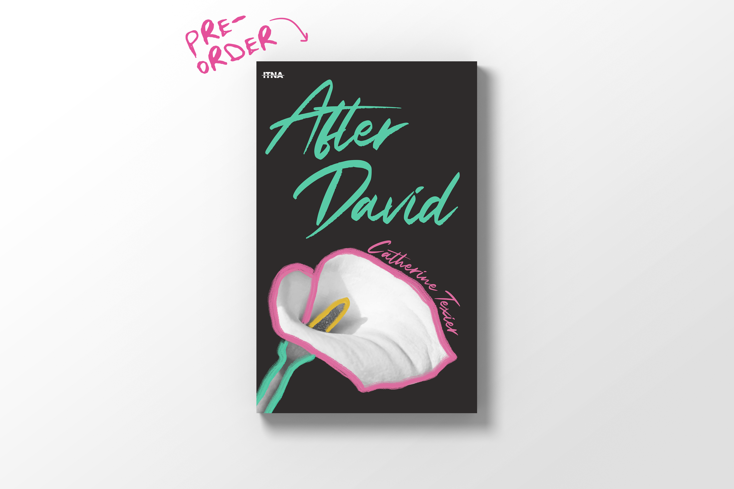 AFTER DAVID | Catherine Texier