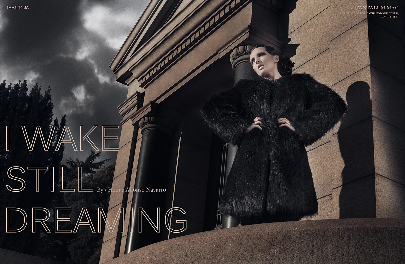 I-WAKE-STILL-DREAMING-1.jpg