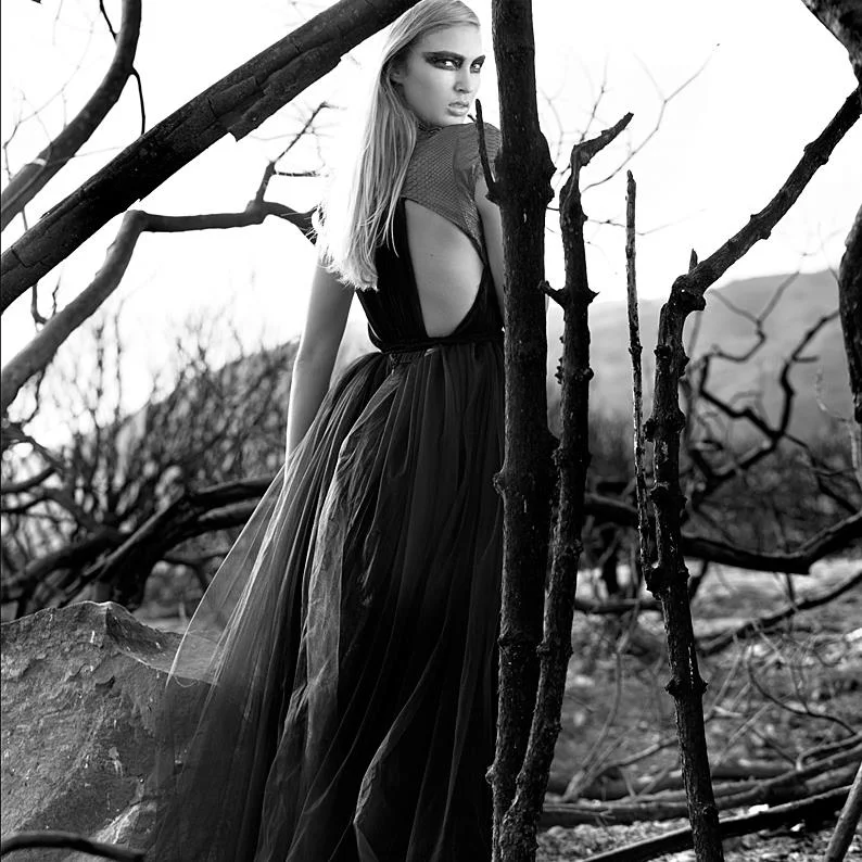 from-the-ashes-1.jpg