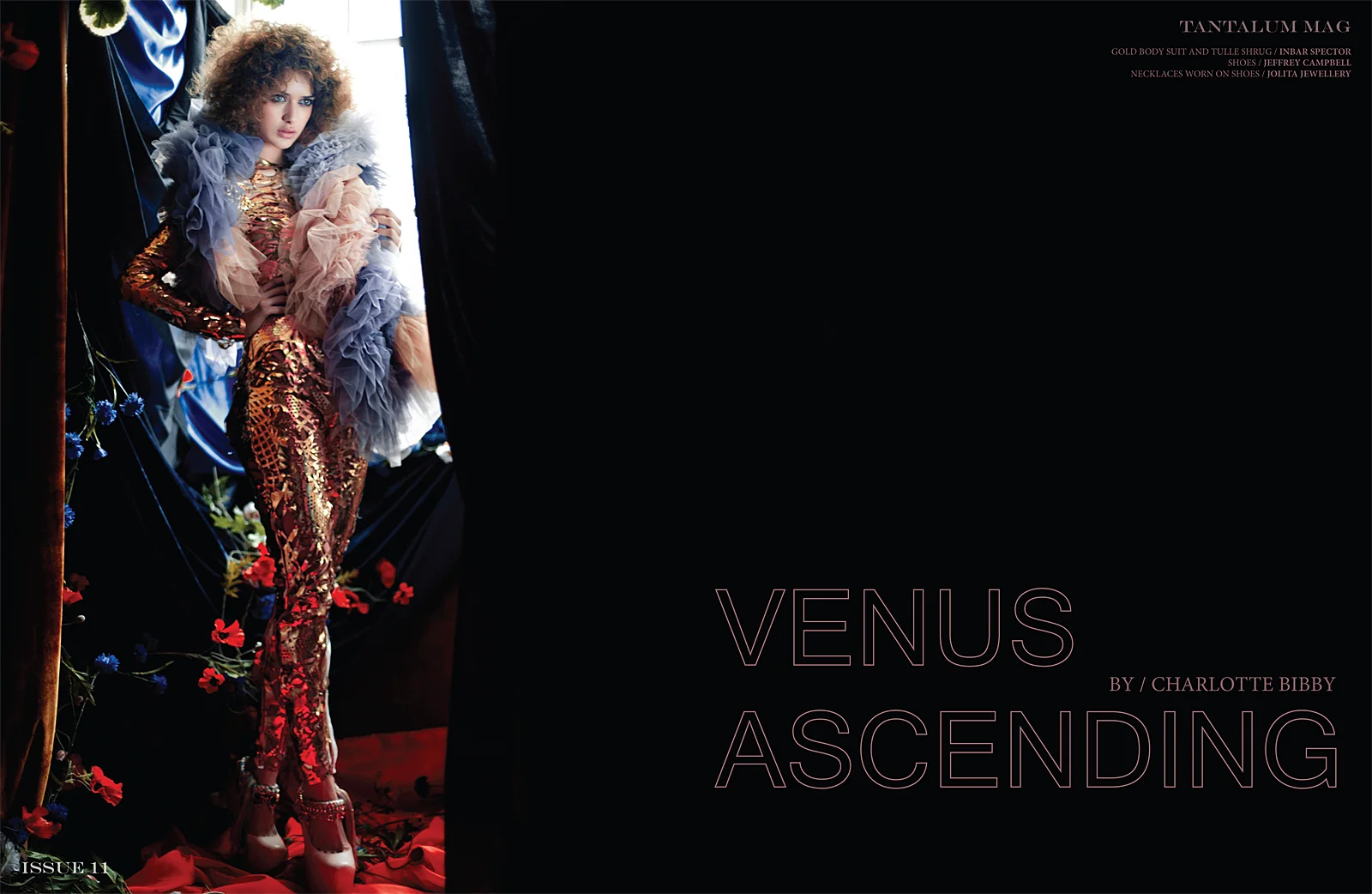 venus-ascending-1.jpg