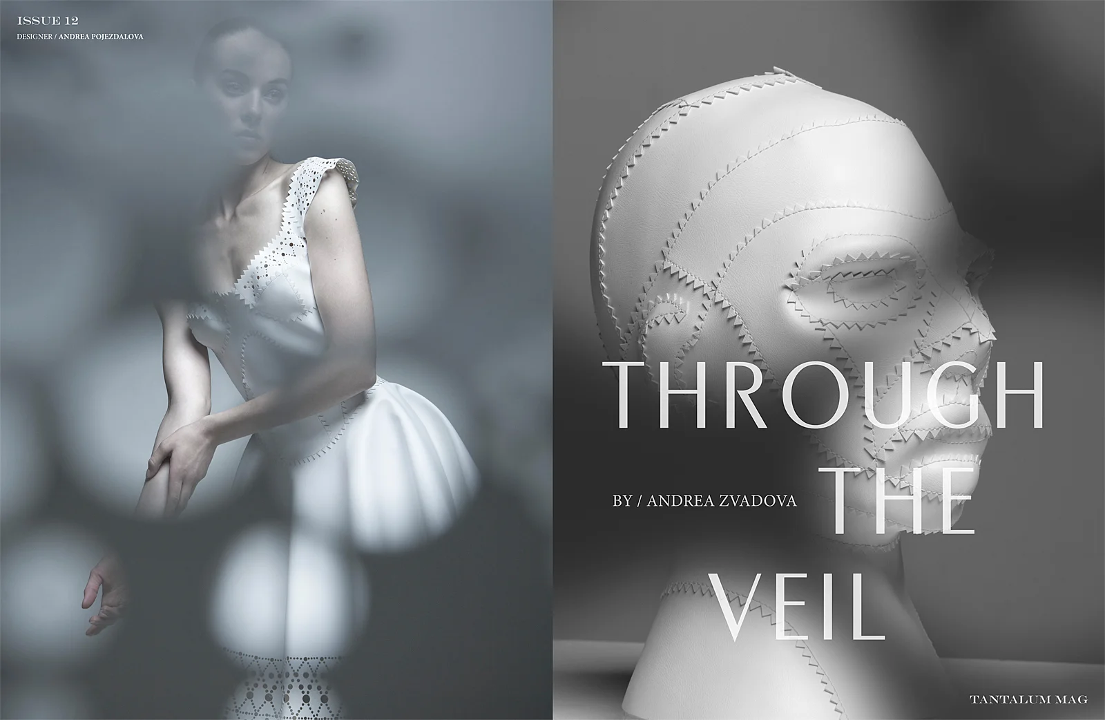 Through-The-Veil-1.jpg