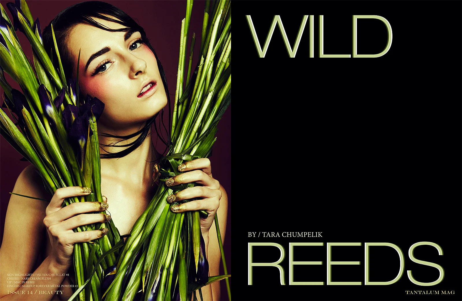 wild-reeds-1.jpg