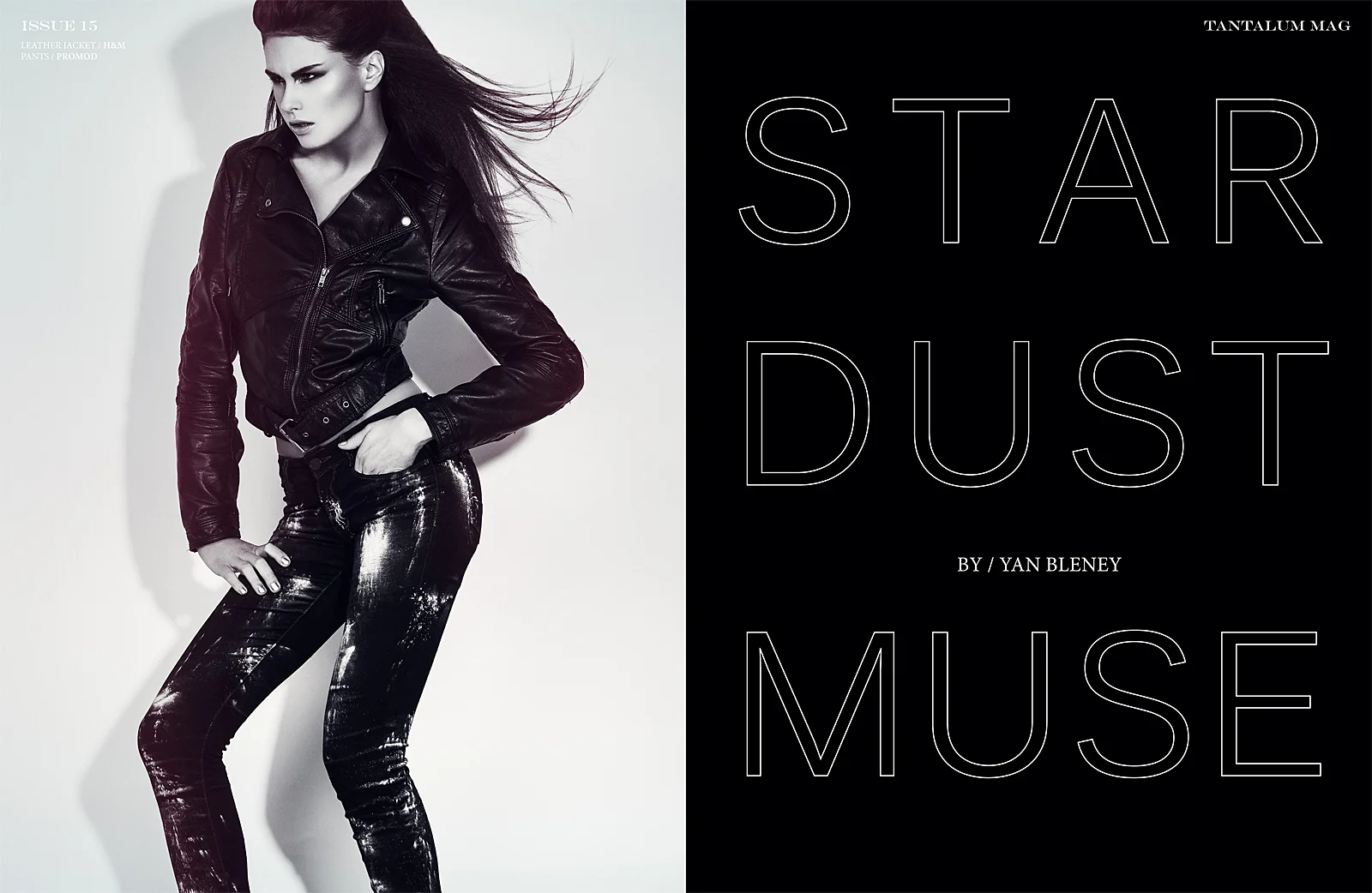 Stardust-Muse-1.jpg