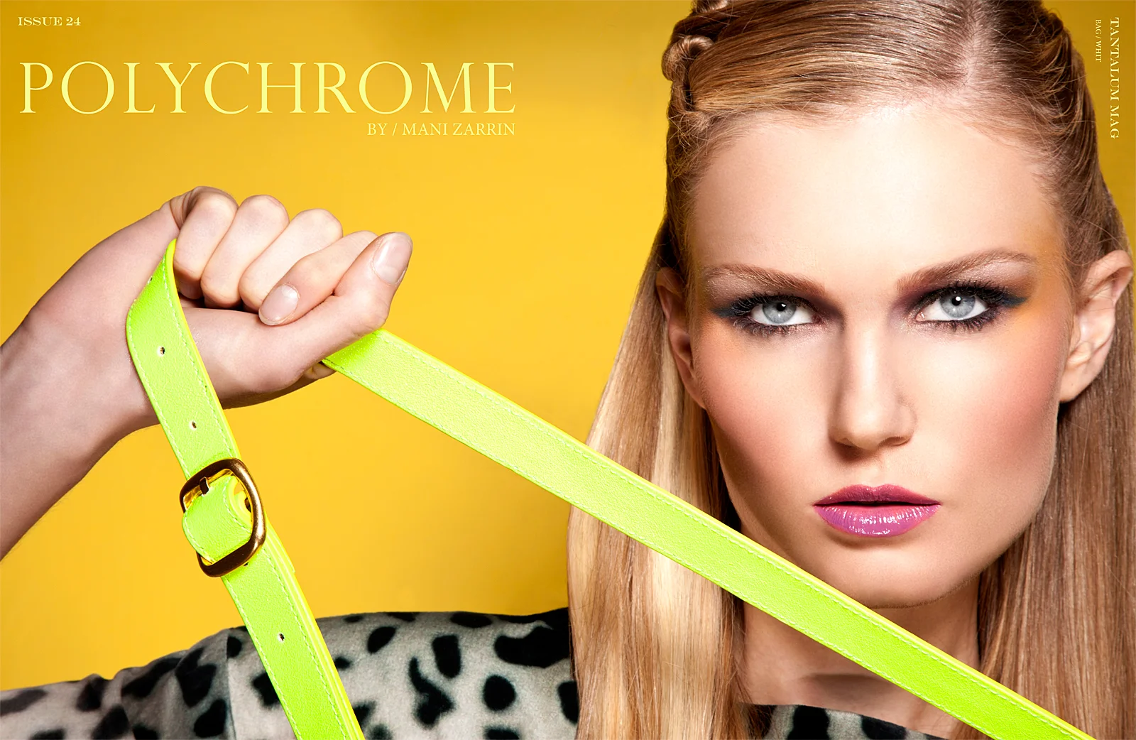 polychrome-1.jpg