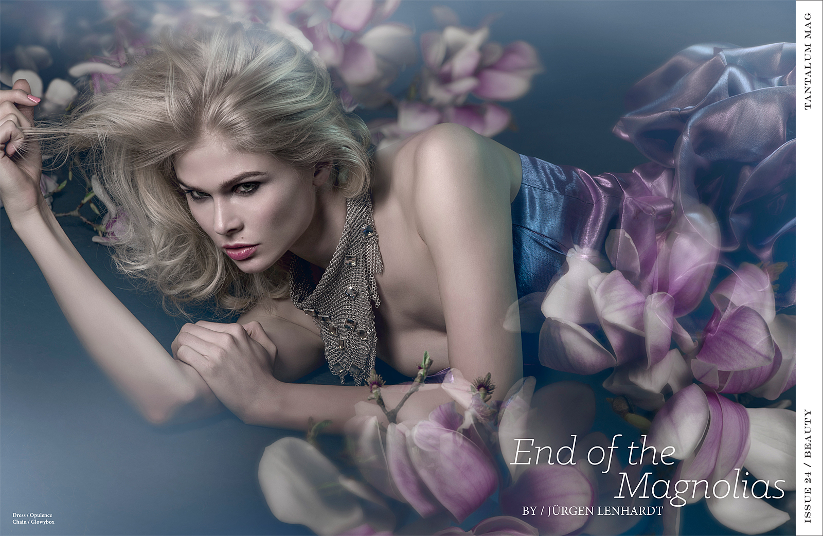 endofthemagnolias_iss24_web-1.jpg