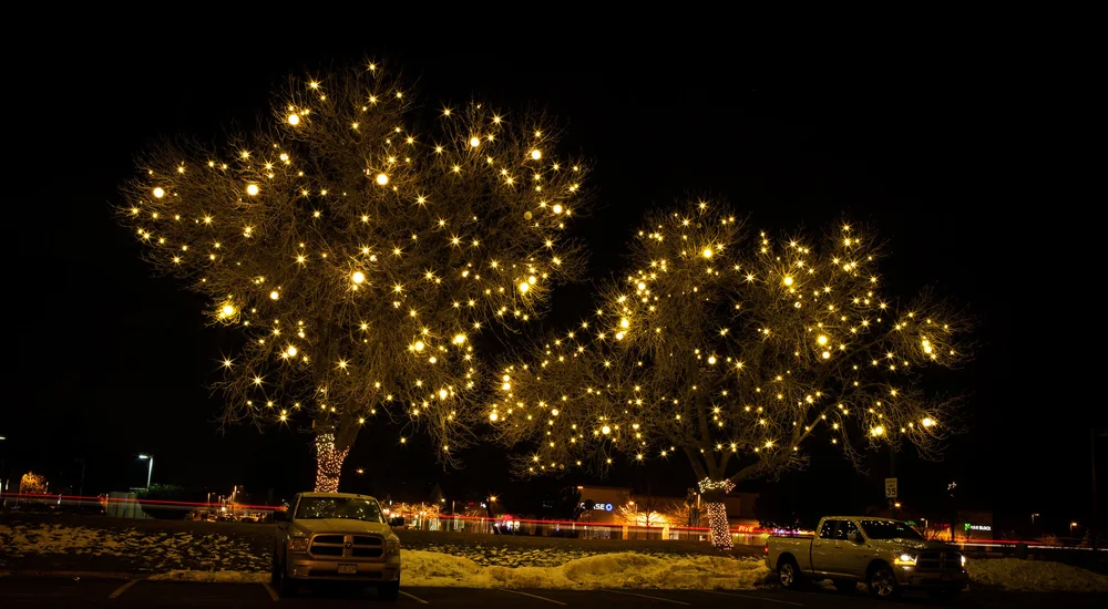 Decorative lights for a hospitality property
