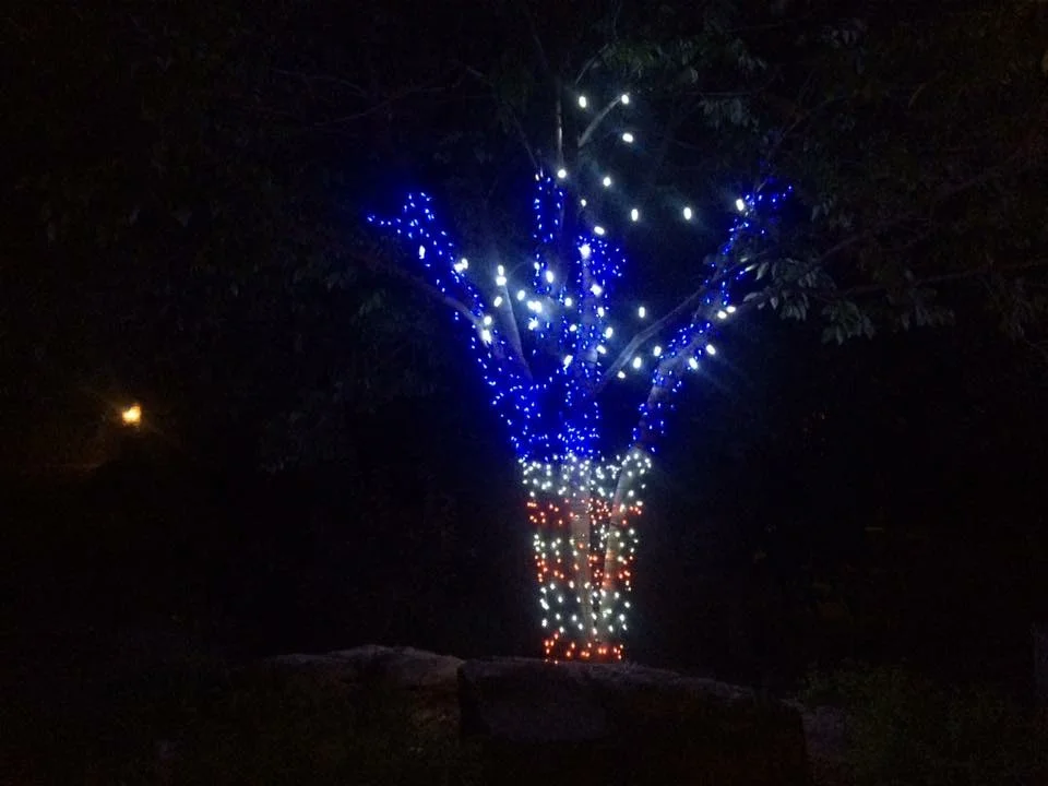 Independence Day Tree - 2017 Boulder Country Club Residence