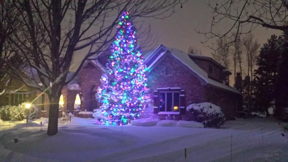 Glenmoor Country Club 45' Pine Tree with Multi Color C9 LED Lights Cherry Hills Village, Colorado