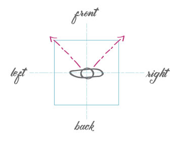 Diagonal directions of the head