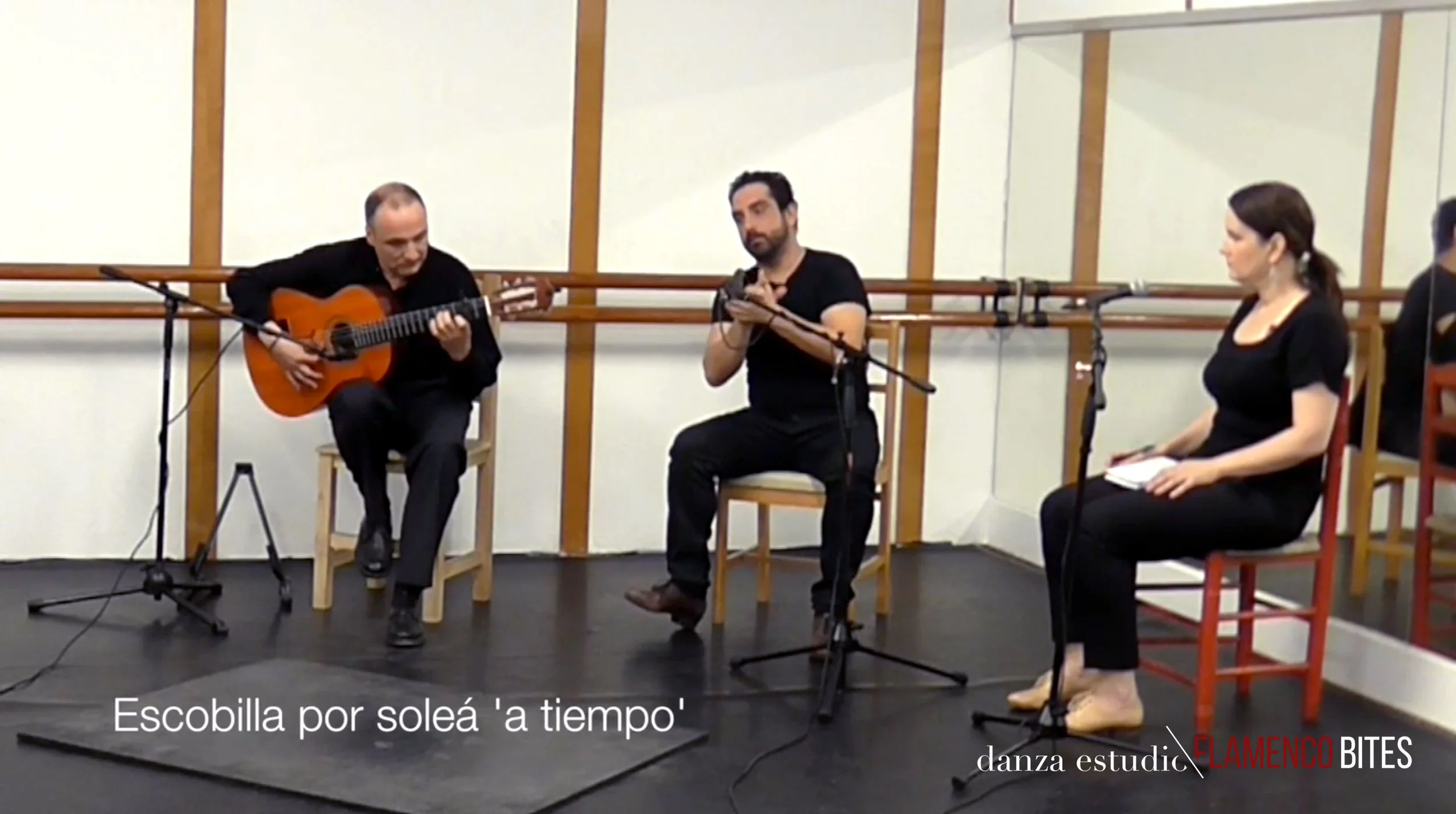 solea-preview-4.jpg