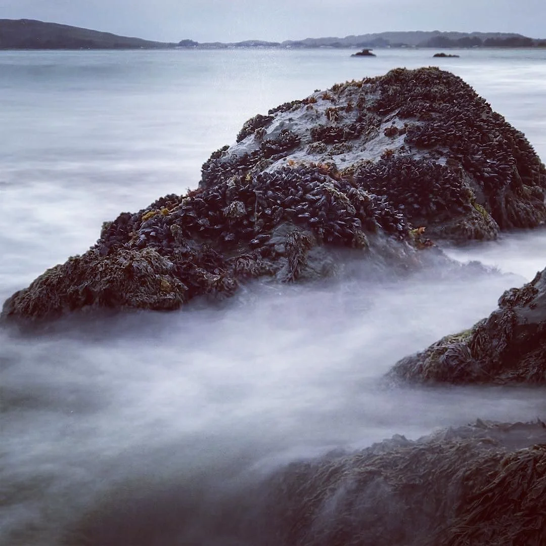 Was_fun_doing_this_long_exposure_shot_near_Bodega_Bay_a_couple_weeks_back.__latergram__bodegabay.jpg