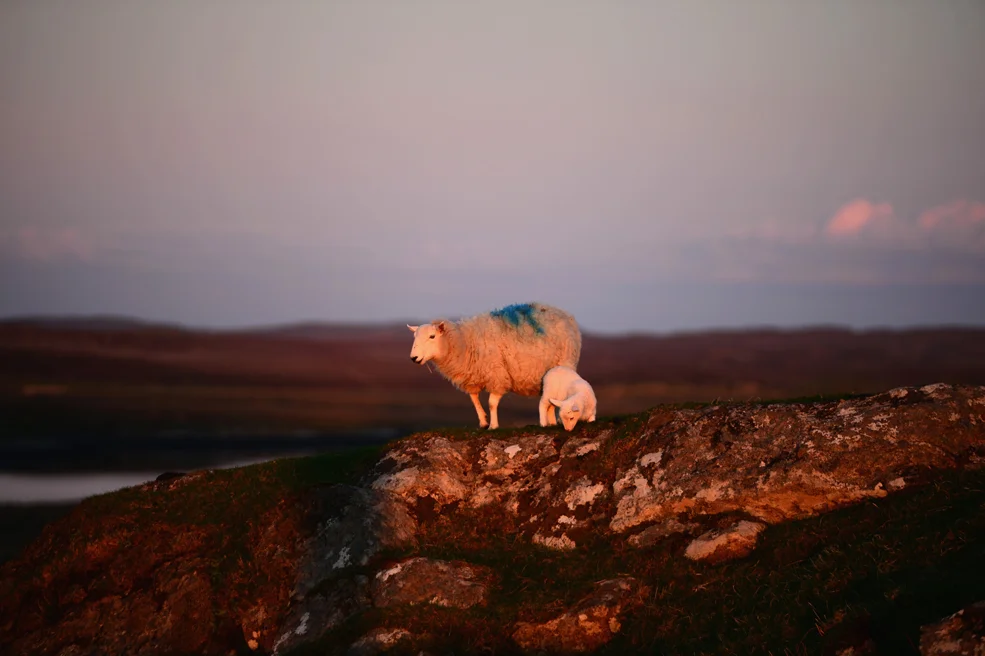 Photo by Jeff J Mitchell / Getty Images