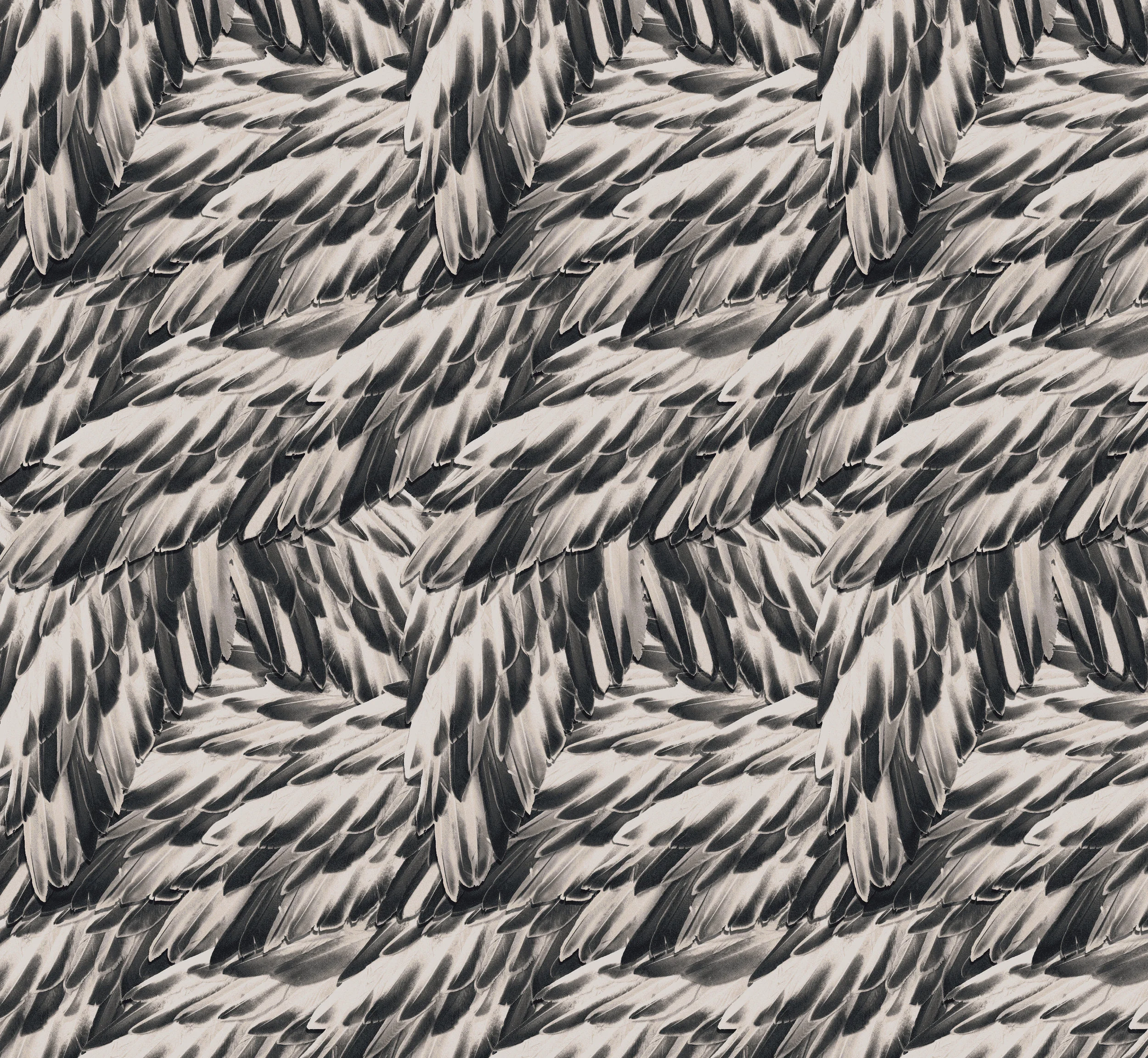 Marie Oliver F16 Feathers Print