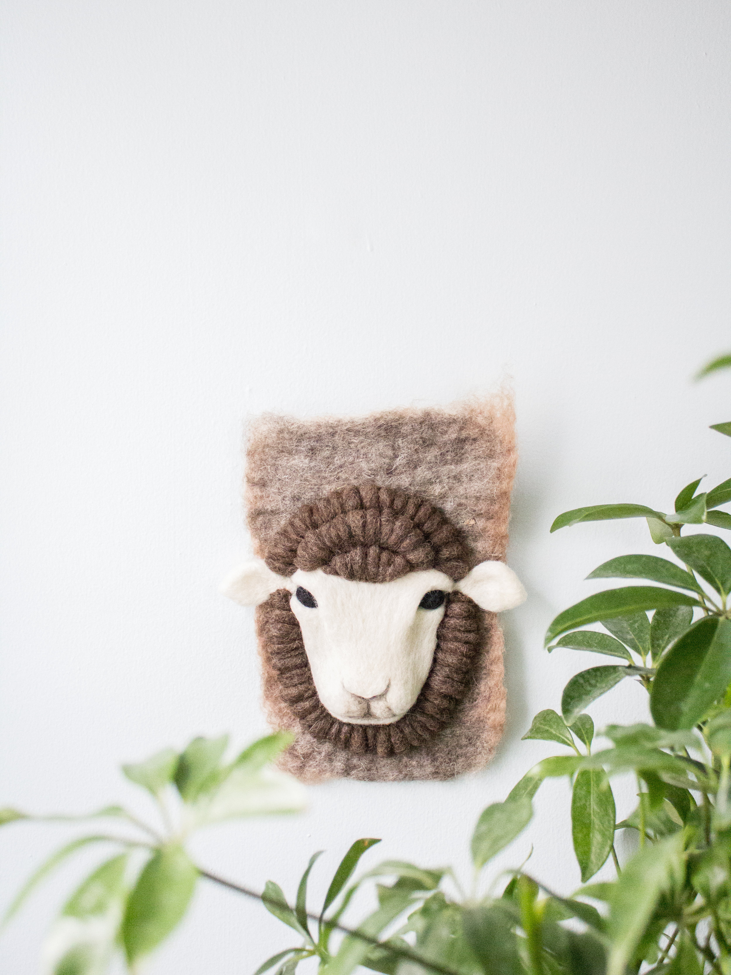 Small Merino Sheep