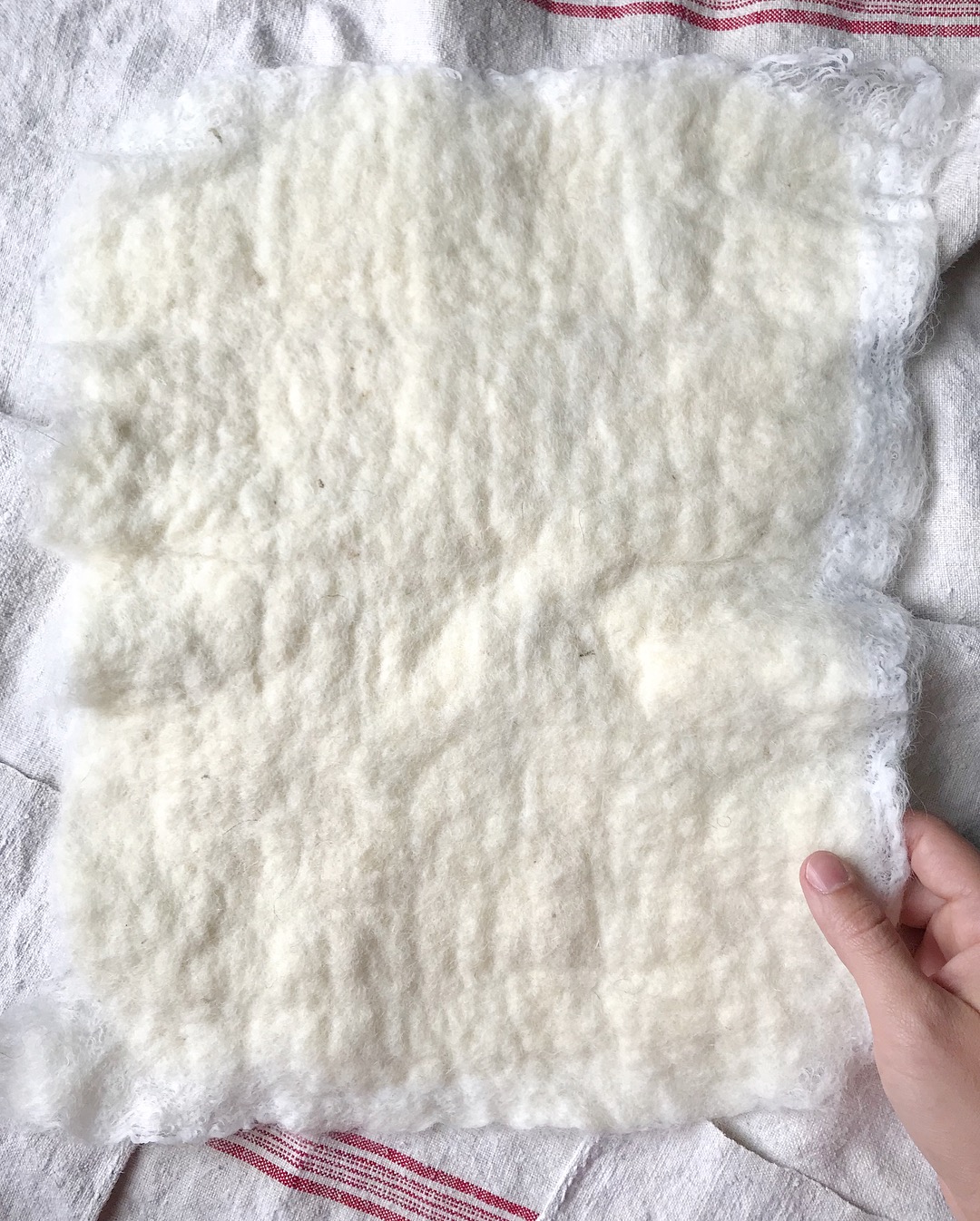 Custom Nuno-Felted Fabric