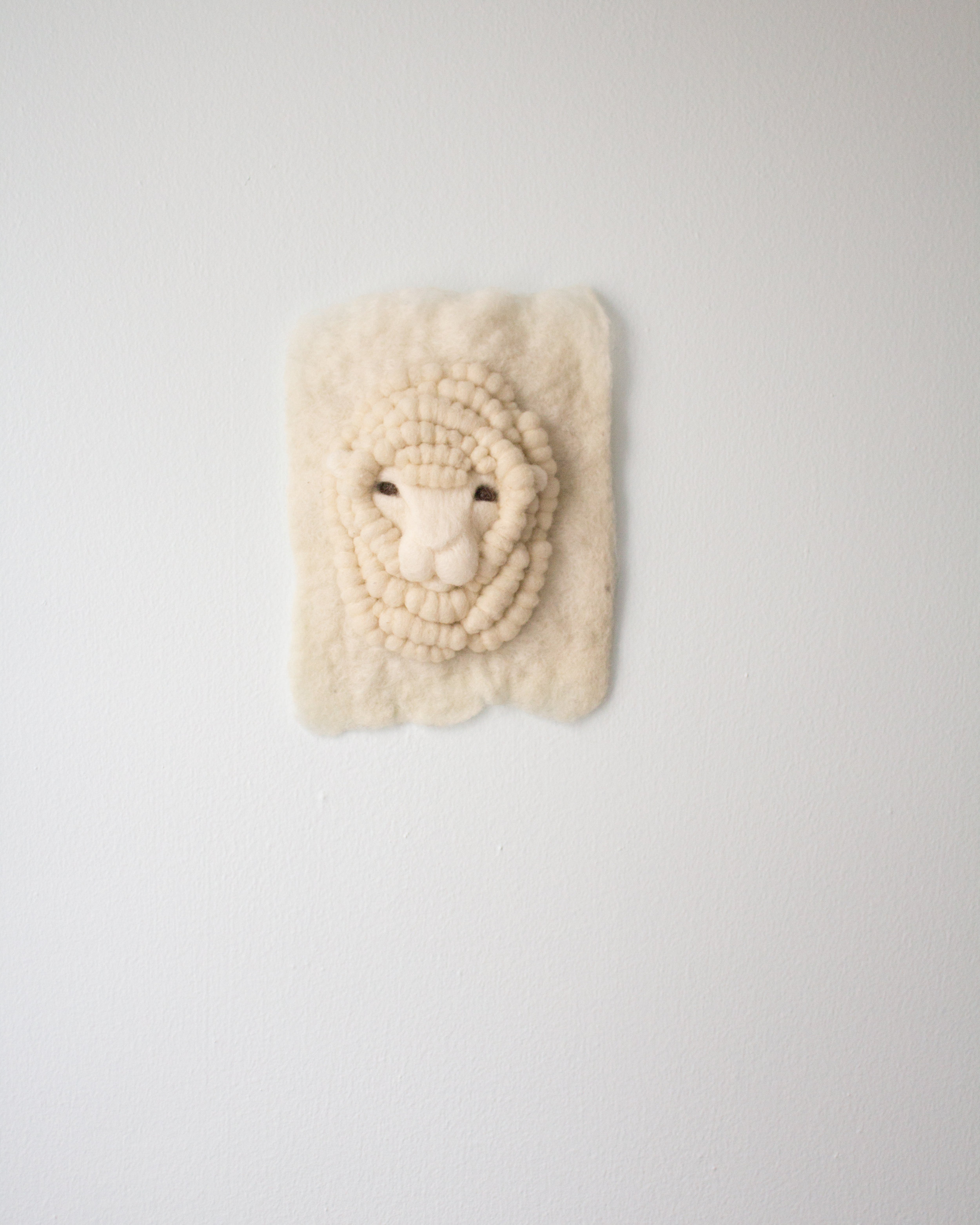 Small White Merino Sheep