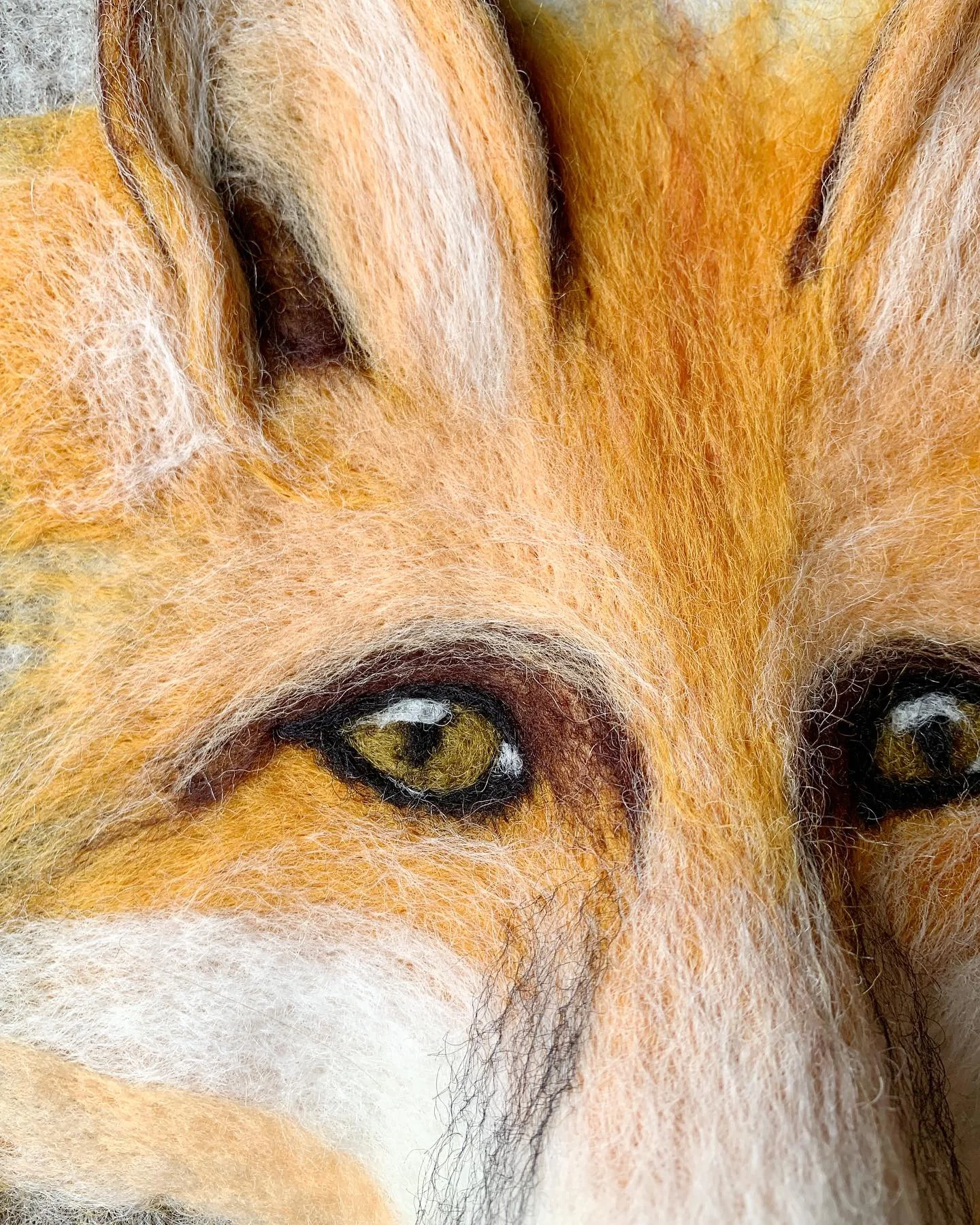 Fox, 2019