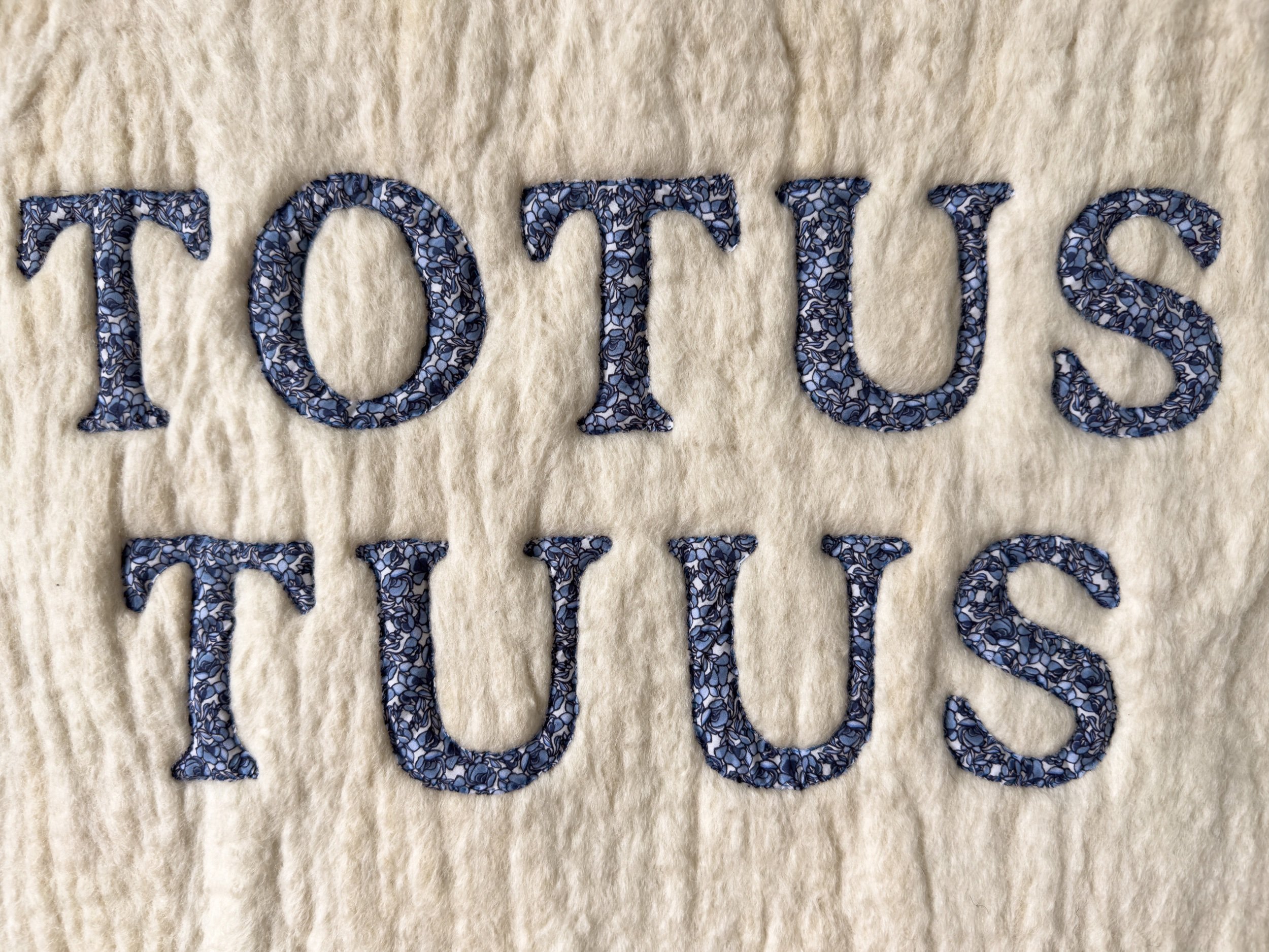 Totus Tuus, 2023 (detail)