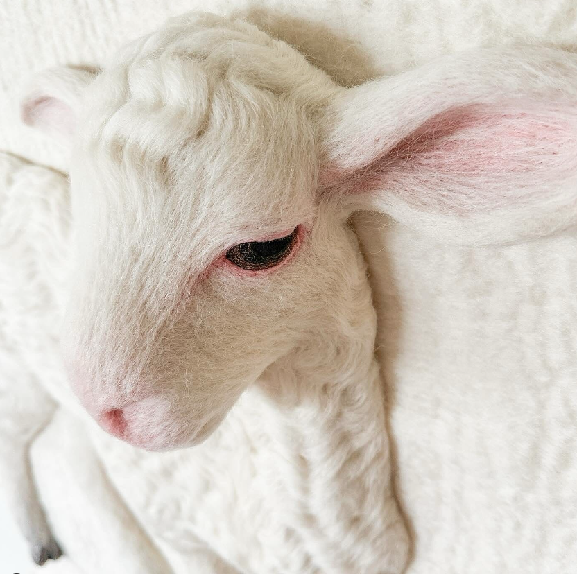 Colossal Feature Photo.PNG