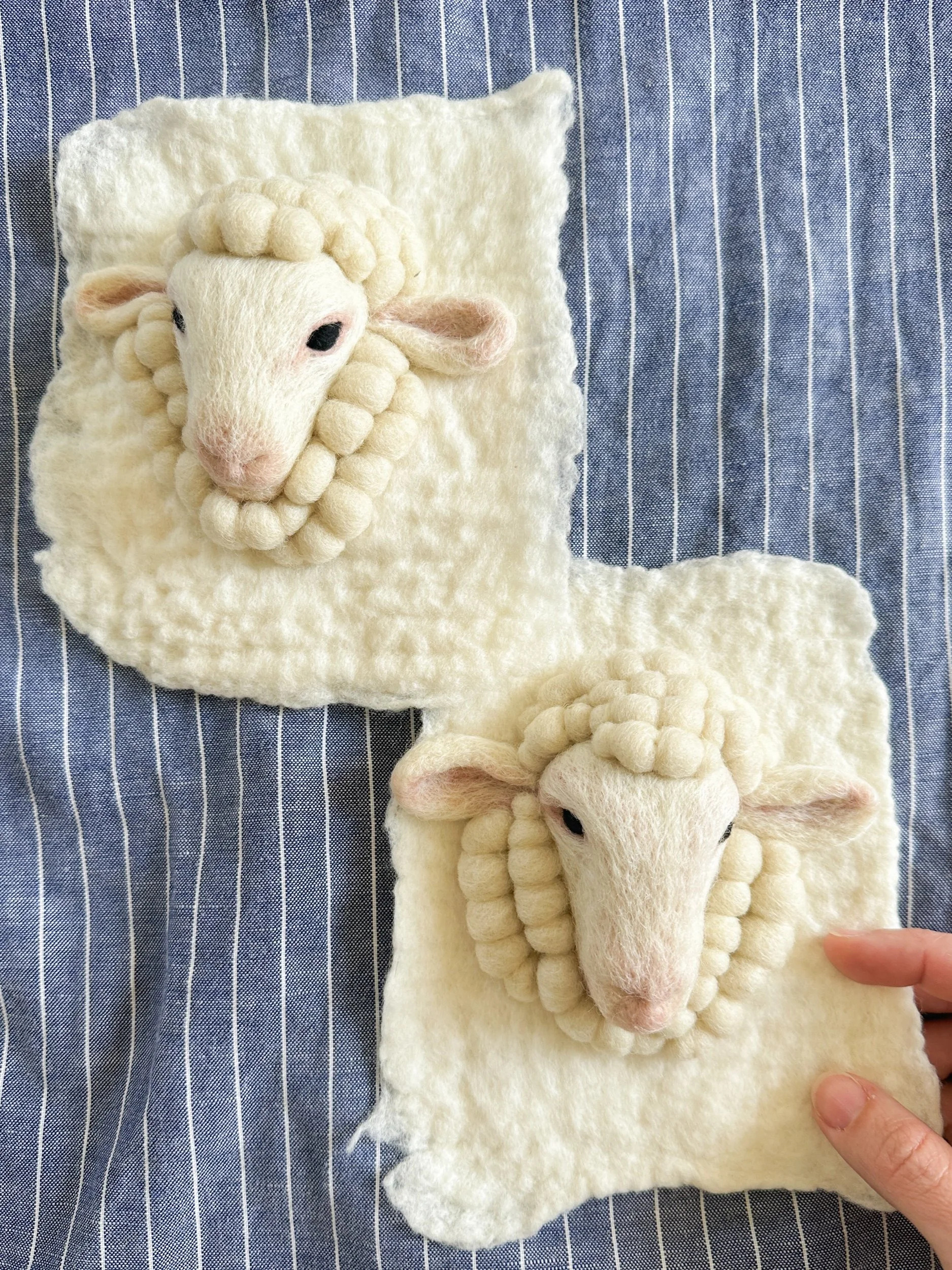 Mini Sheep, 2024