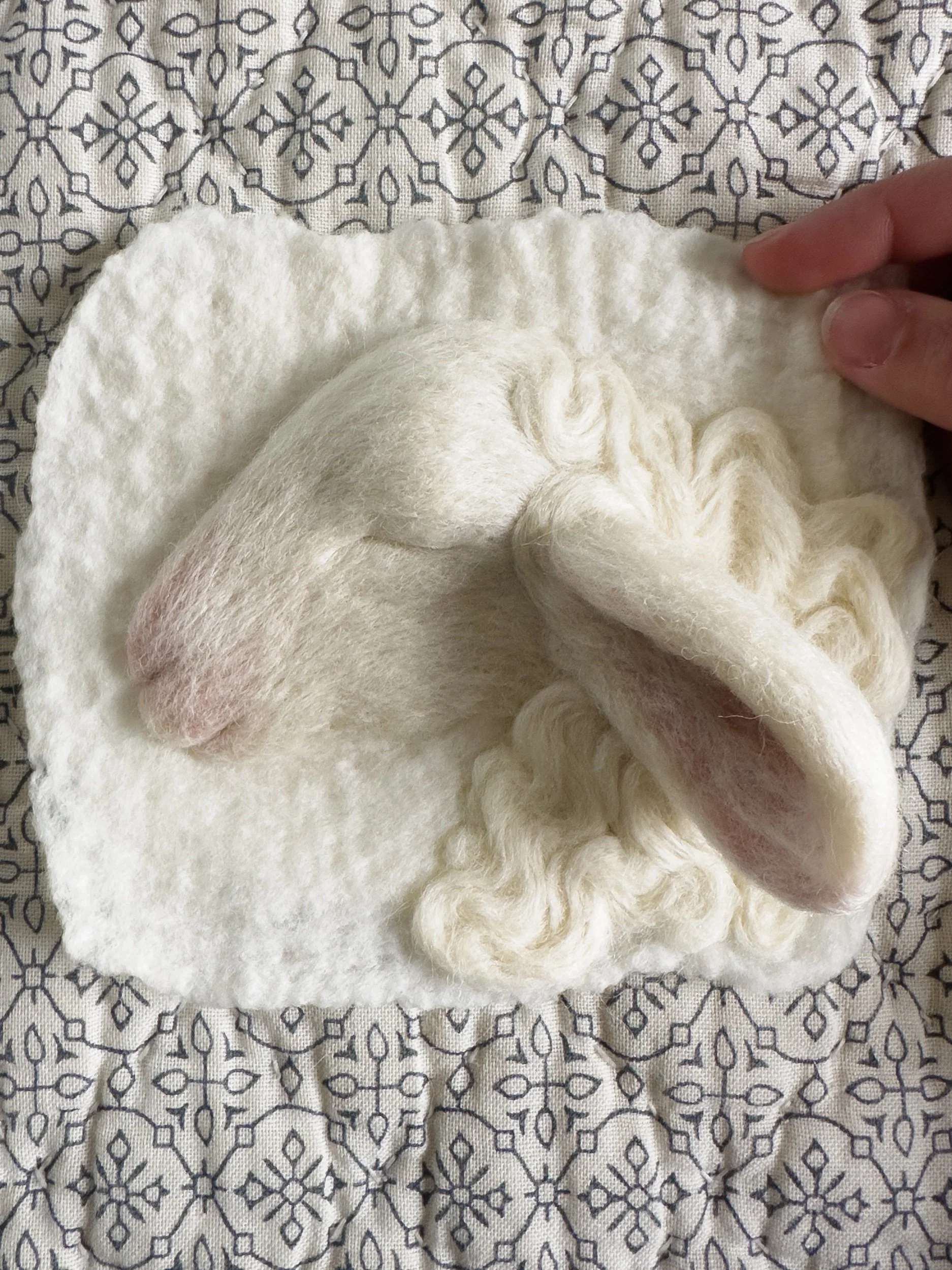 Sleeping Lamb, 2024