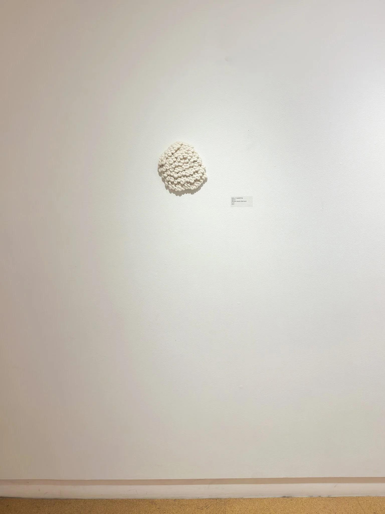 "Agnus," 2022, felted wool, approximately 9”w x 9”h x 3”d