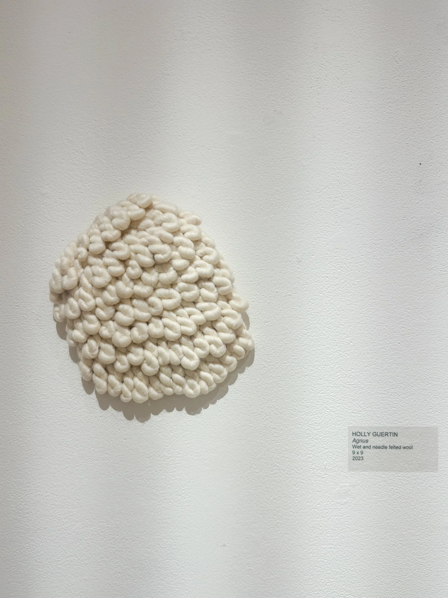 Agnus, 2022, wool felt, 9”h x 9”w x 3”d
