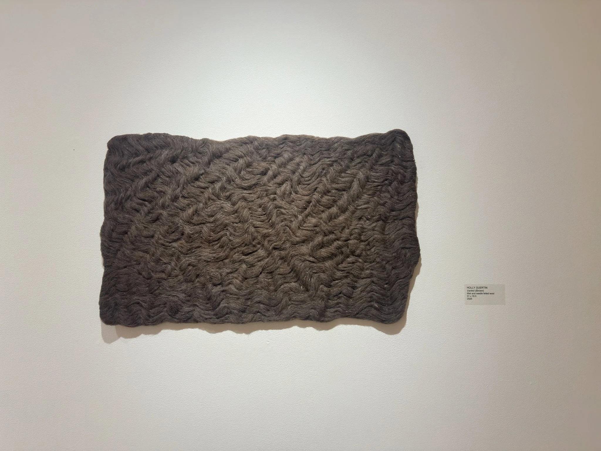 Varied (Brown), 2026, wool felt, 18.5”h x 31”w x 0.5”d