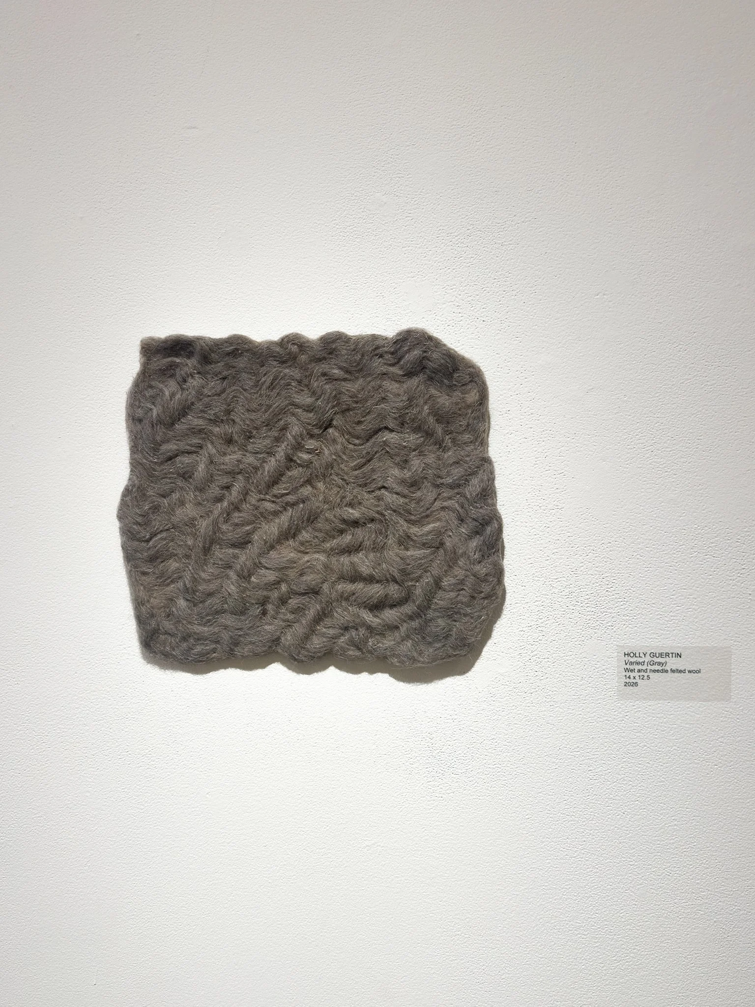 Varied (Gray), 2026, wool felt, 12.5”h x 14”w x 0.5”d