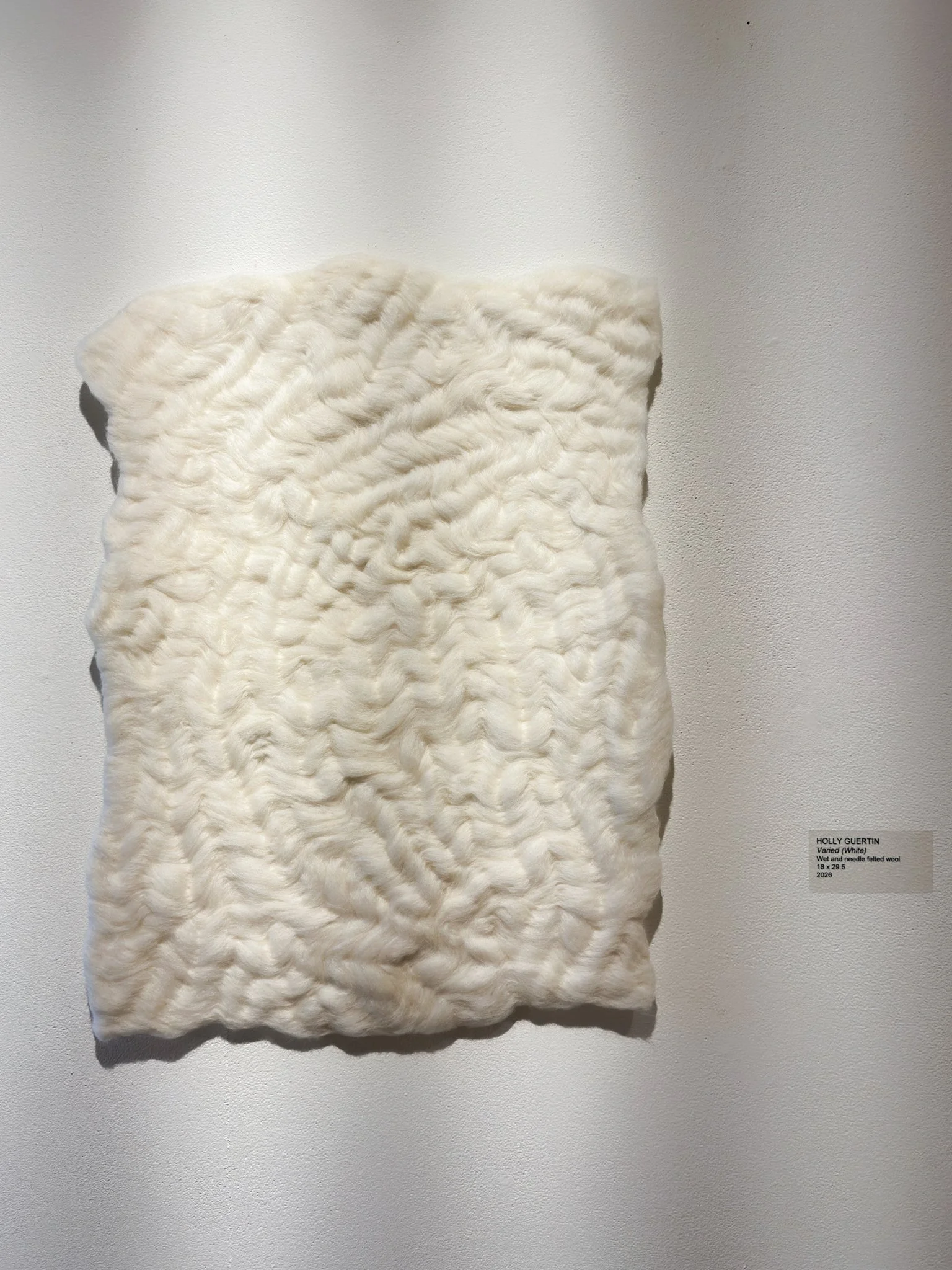 Varied (White), 2026, wool felt, 24.5”h x 18”w x 0.5”d