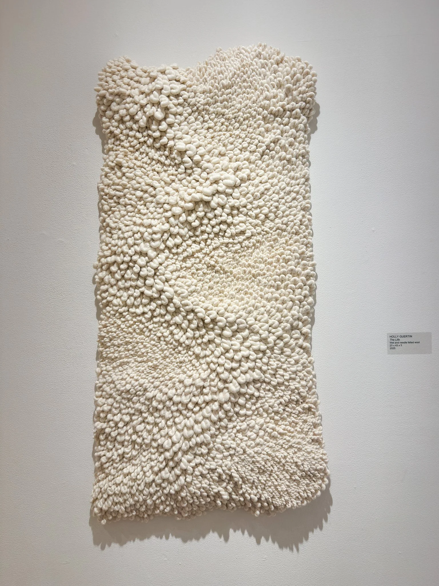 The Life, 2025, wool felt, 43”h x 22”w x 5”d
