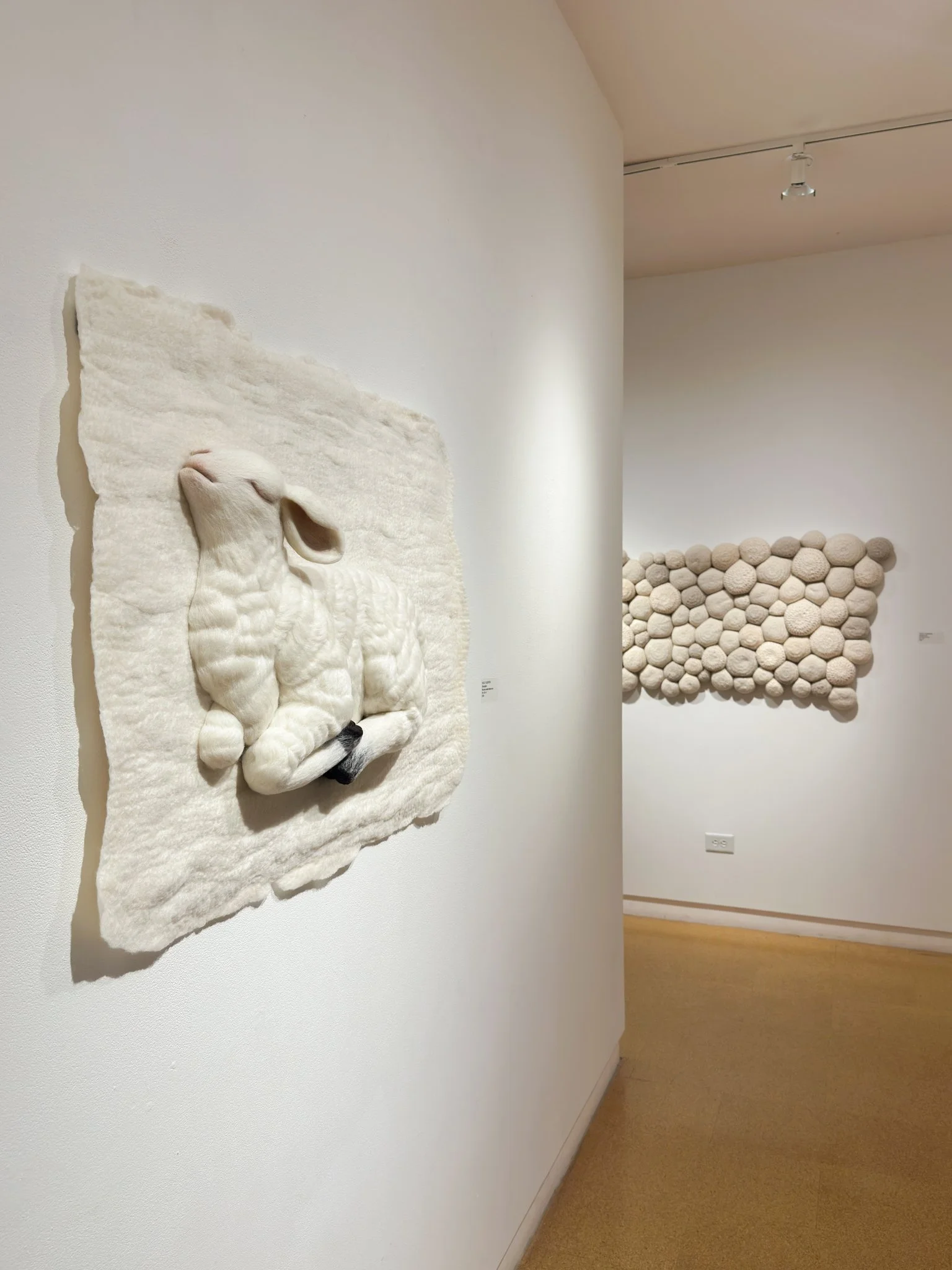 "Reception", 2026, felted wool, 39"w x 29"l x 4"d (in situ)