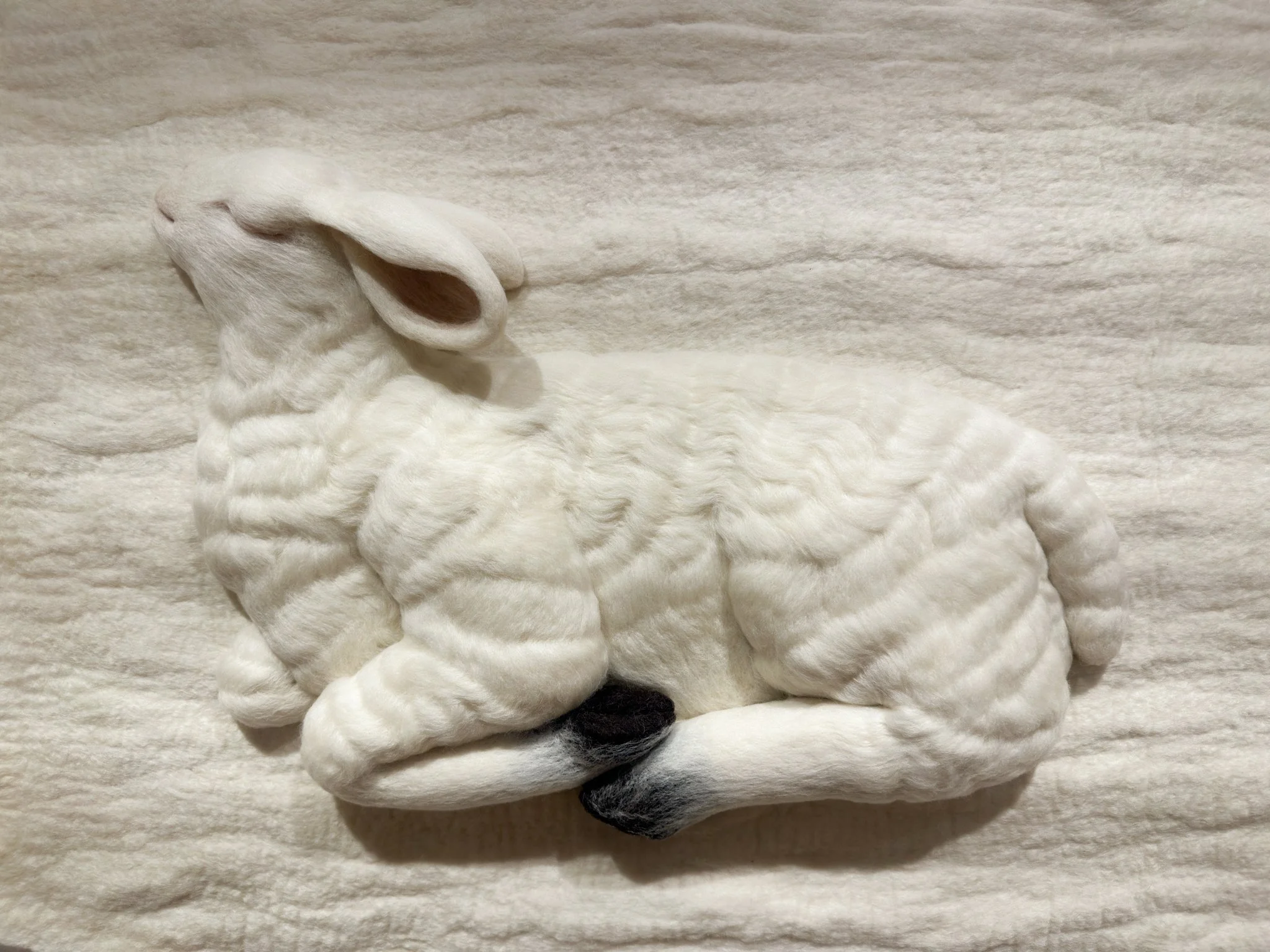 "Reception", 2026, felted wool, 39"w x 29"l x 4"d (detail)