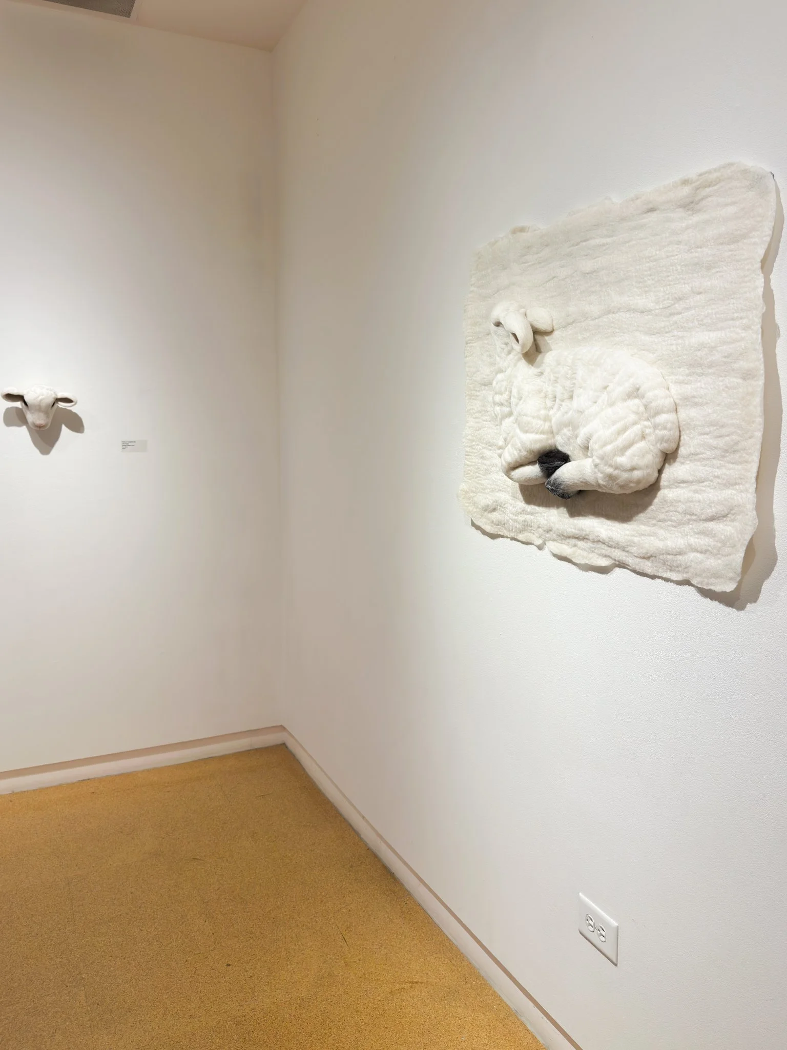 "Reception", 2026, felted wool, 39"w x 29"l x 4"d (in situ)