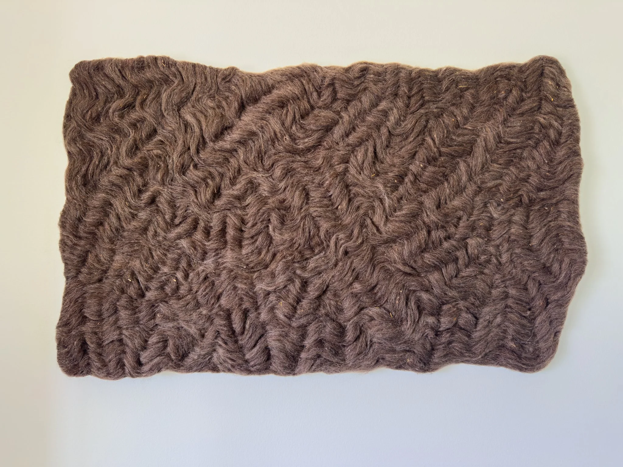 Holly Guertin - Varied (Brown) - sm -1.jpg