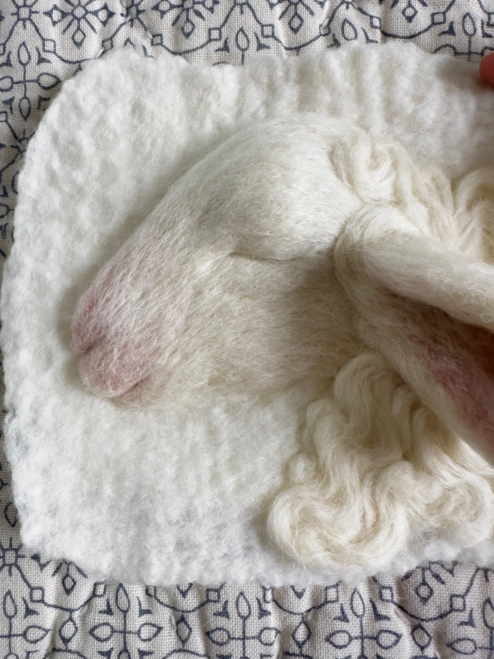 Sleeping Lamb, 2024