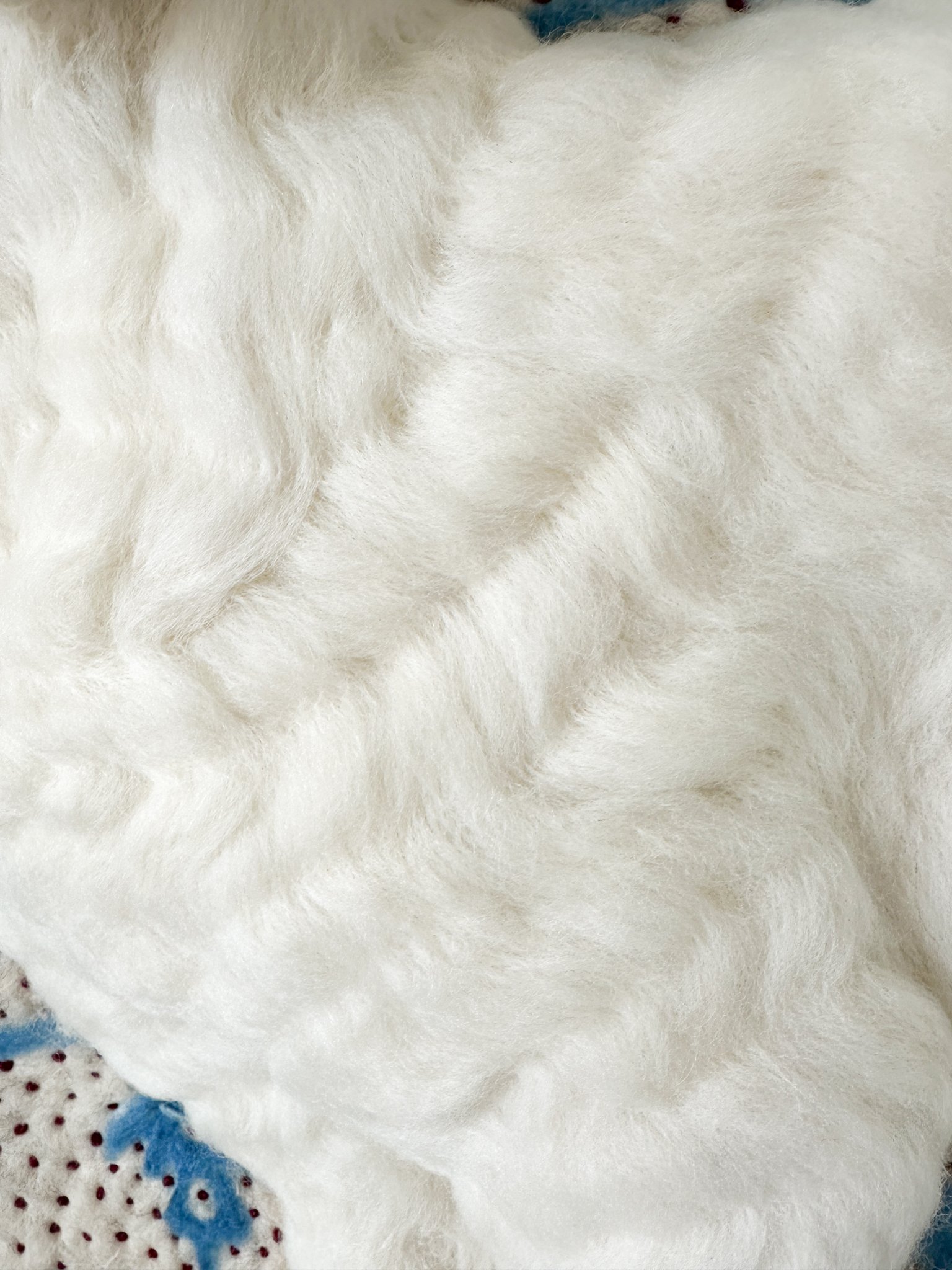 Holly Guertin - Lamb of God-sm-19.jpg