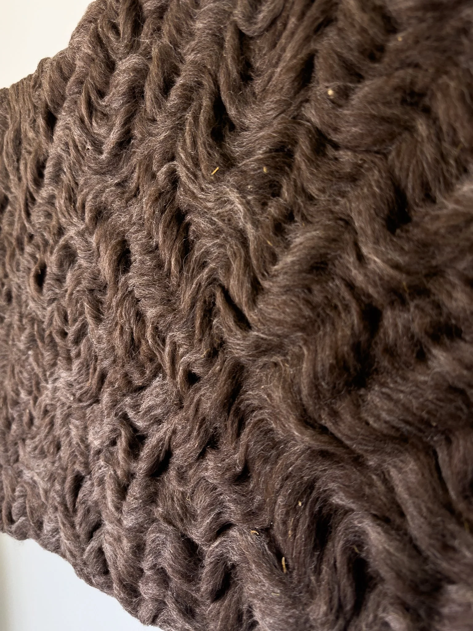Holly Guertin - Varied (Brown) - sm -3.jpg