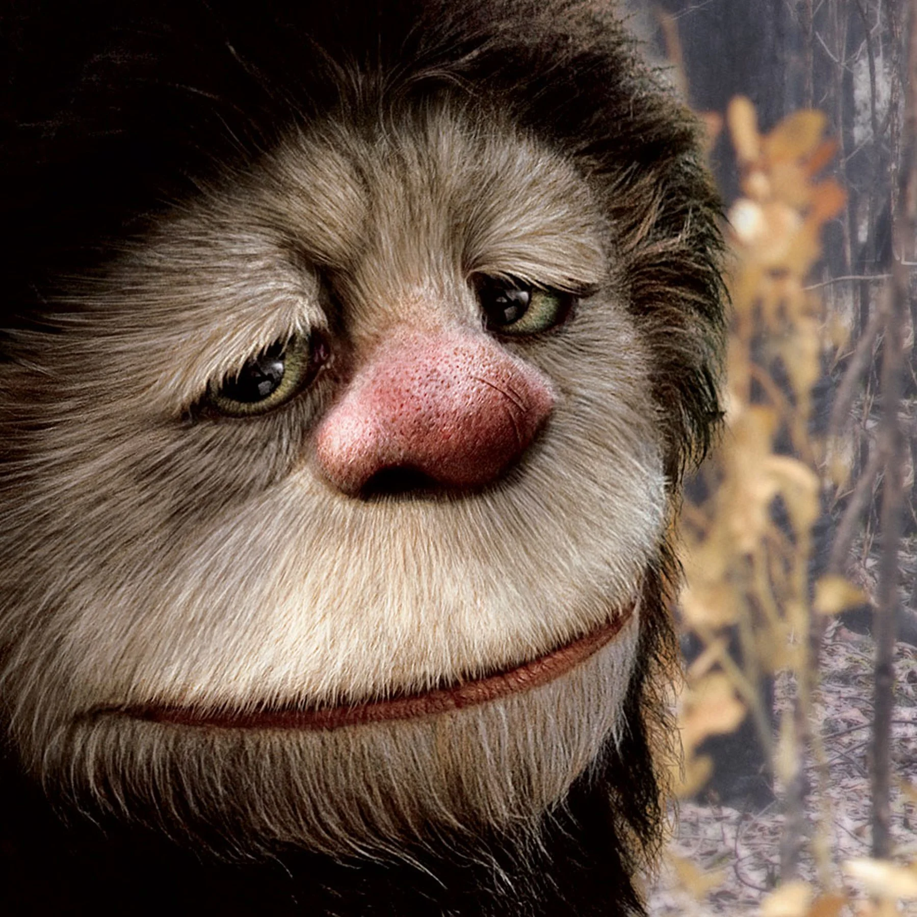 wild things-index pic.jpg