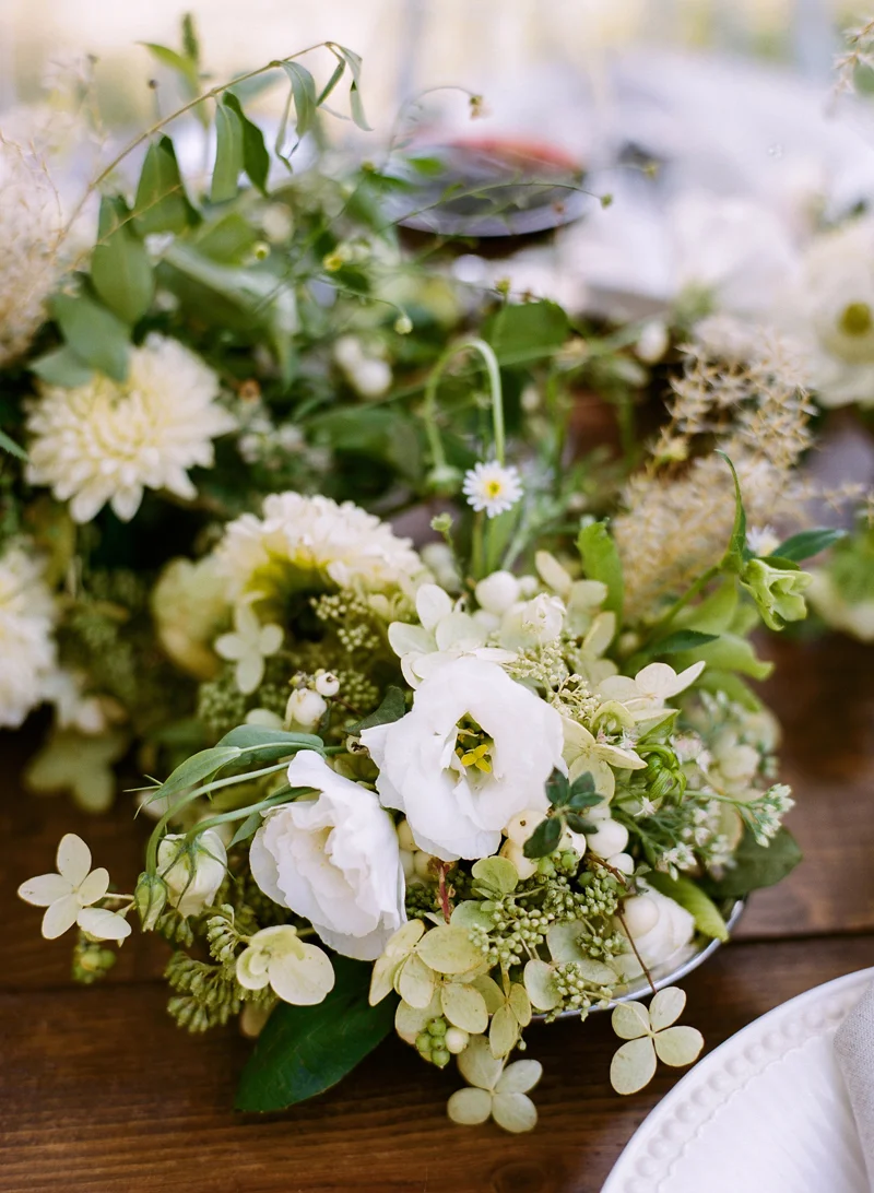 ahp_swmag-serenbe_SW SELECTIONS_56410010.jpg
